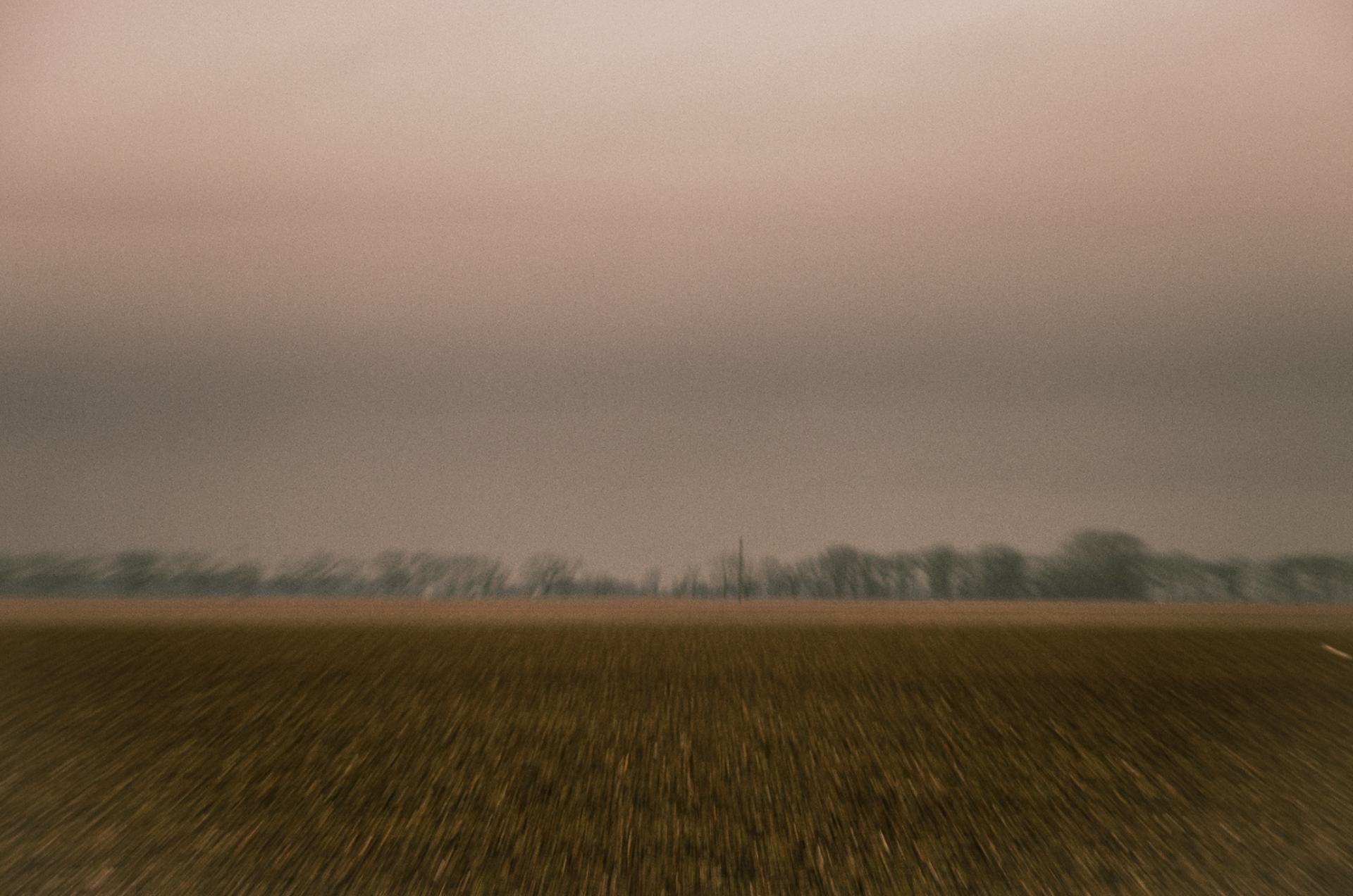 The Field by Alice Crenshaw