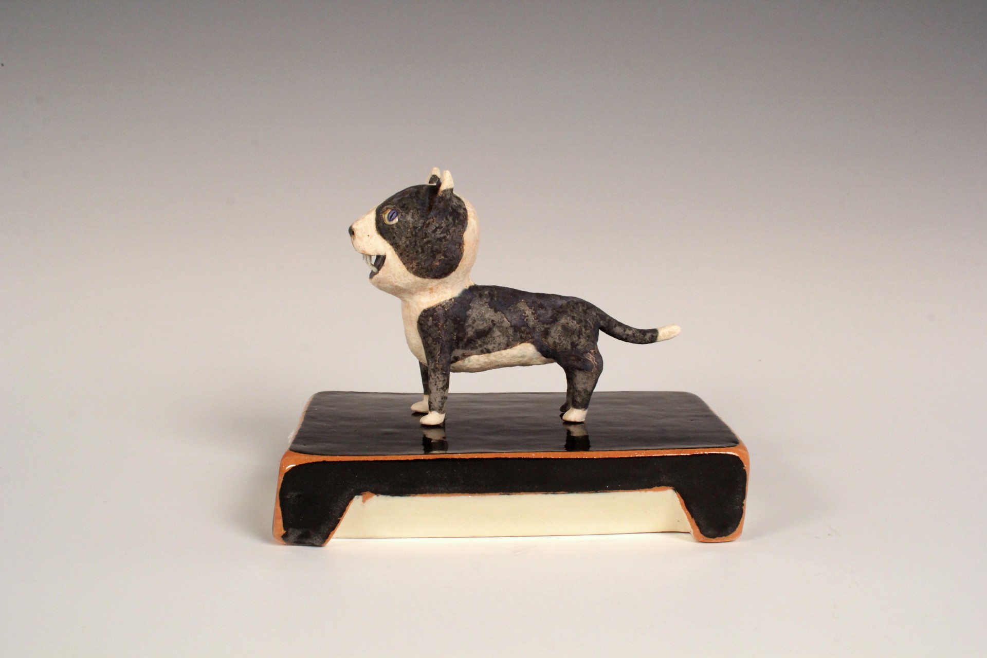 (Black and White) Cat on (Black) Base by Wesley Anderegg