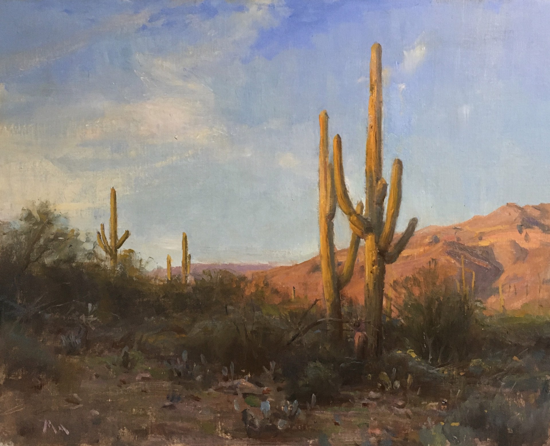 Evening in Sonoran Desert by Kyle Ma