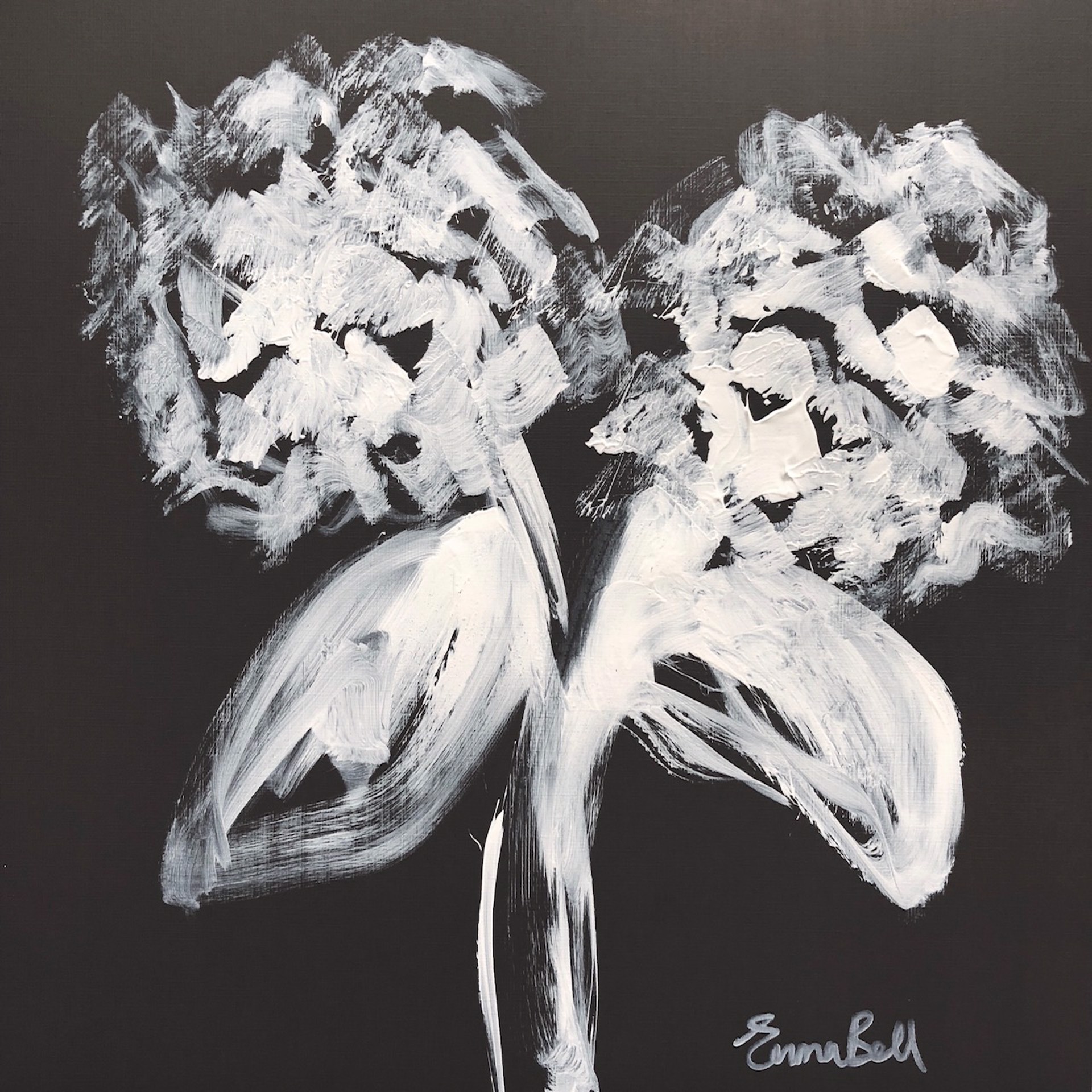 White on Charcoal 2 Hydrangeas by Emma Bell