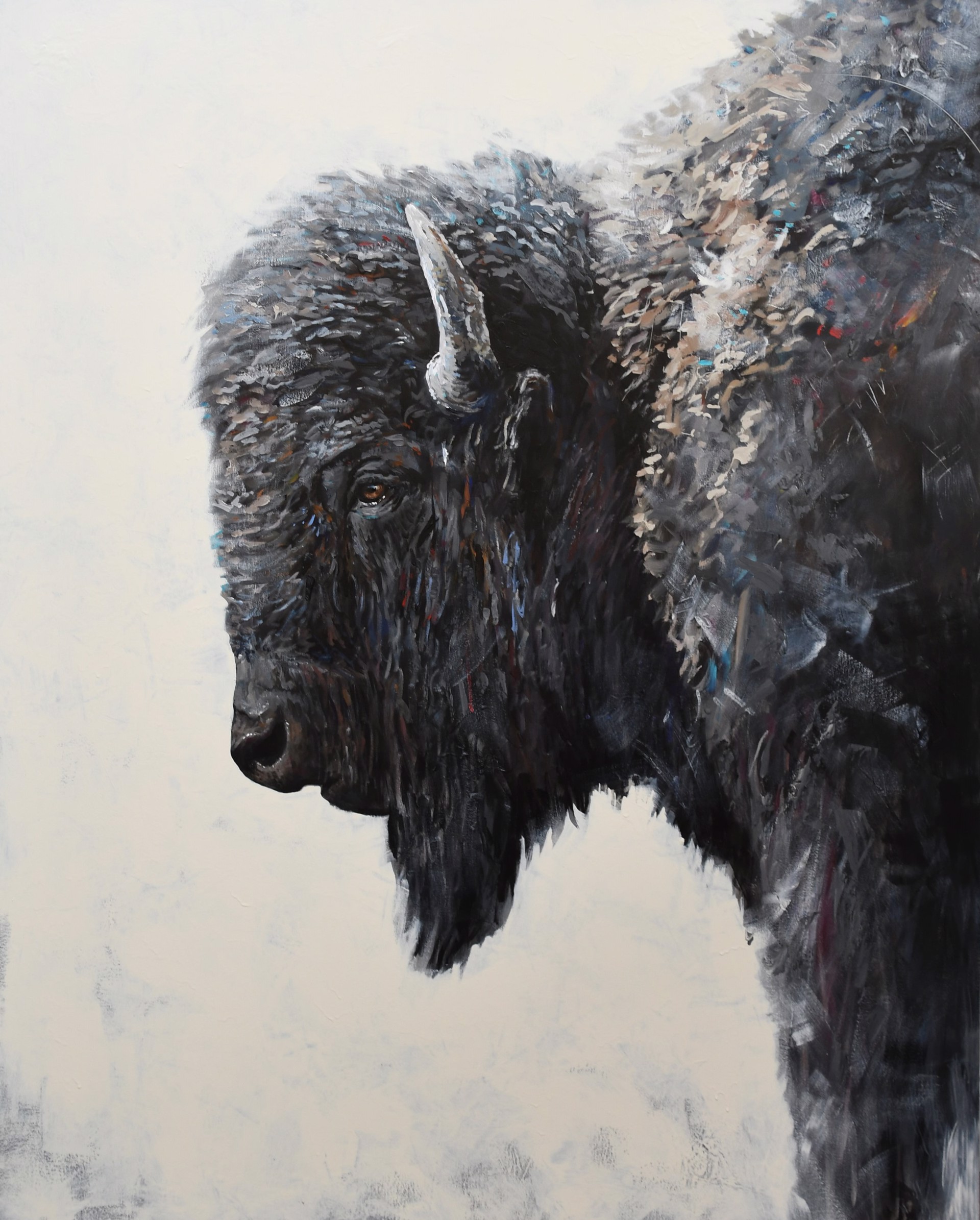 Bison by Jared Knox