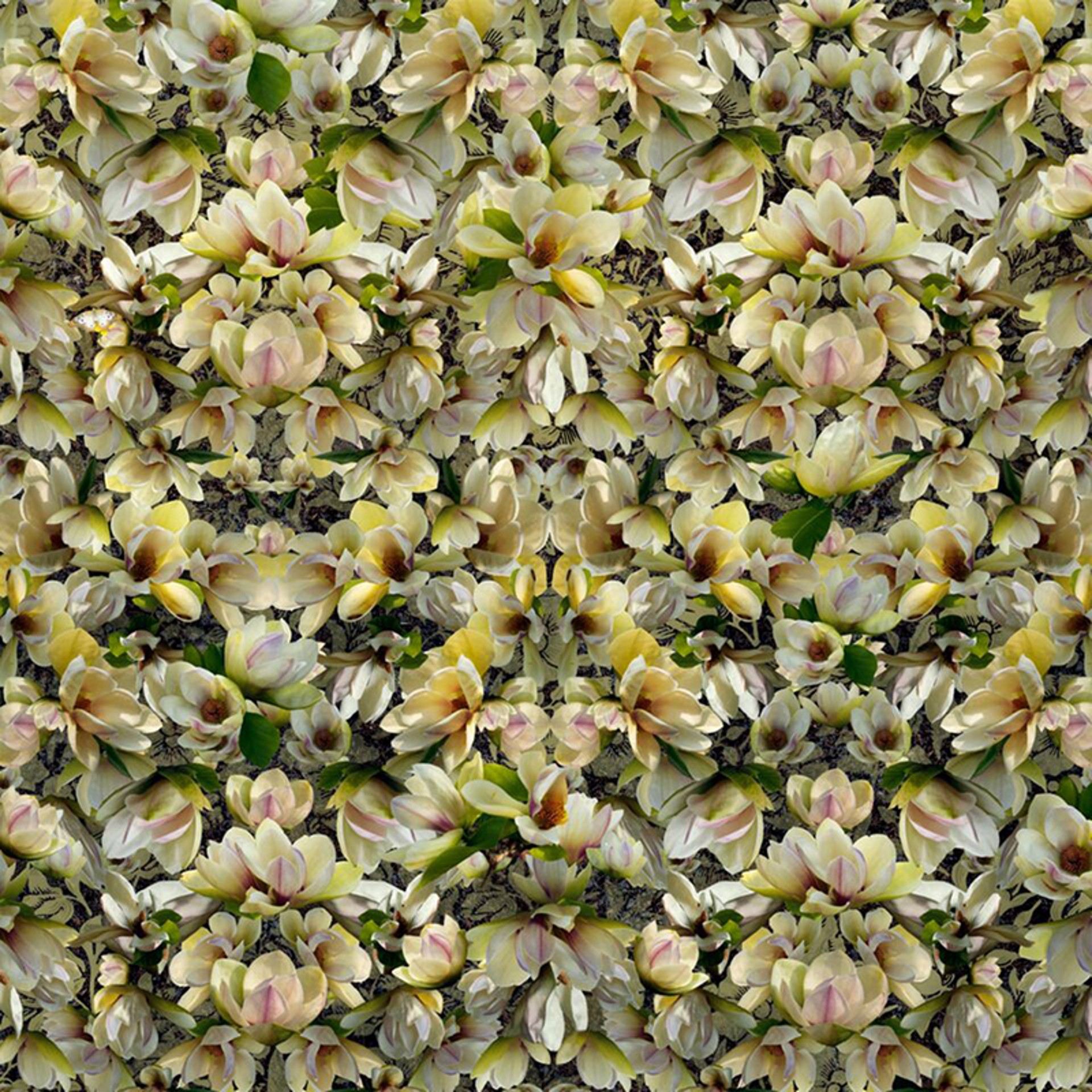 Magnolias Breaking Pattern by Lisa Frank