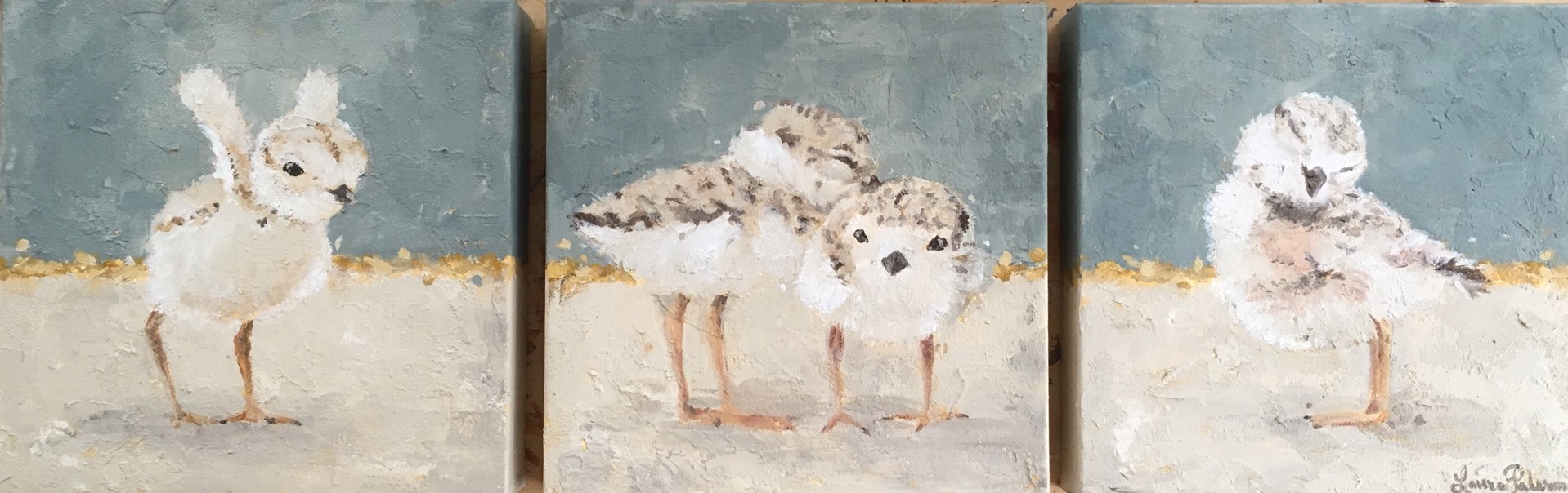 Piping Plovers Triptych - Set of 3 by Laura Palermo - Giclee Prints