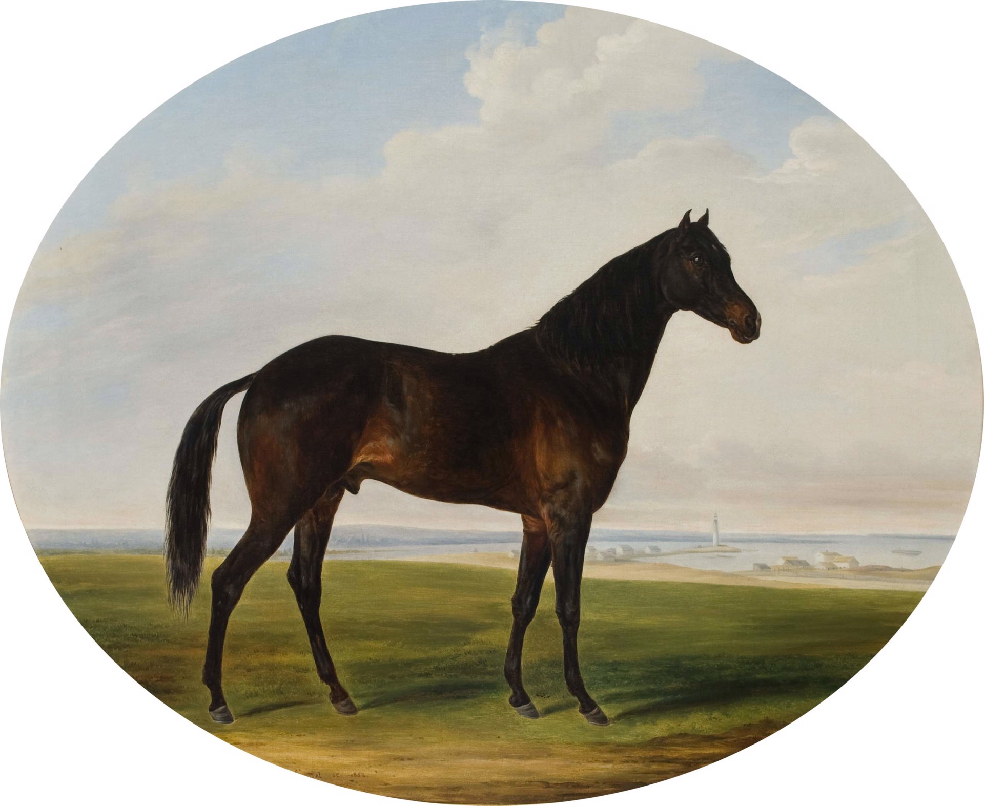 Dark Brown Stallion, 1852 by Henri DeLattre