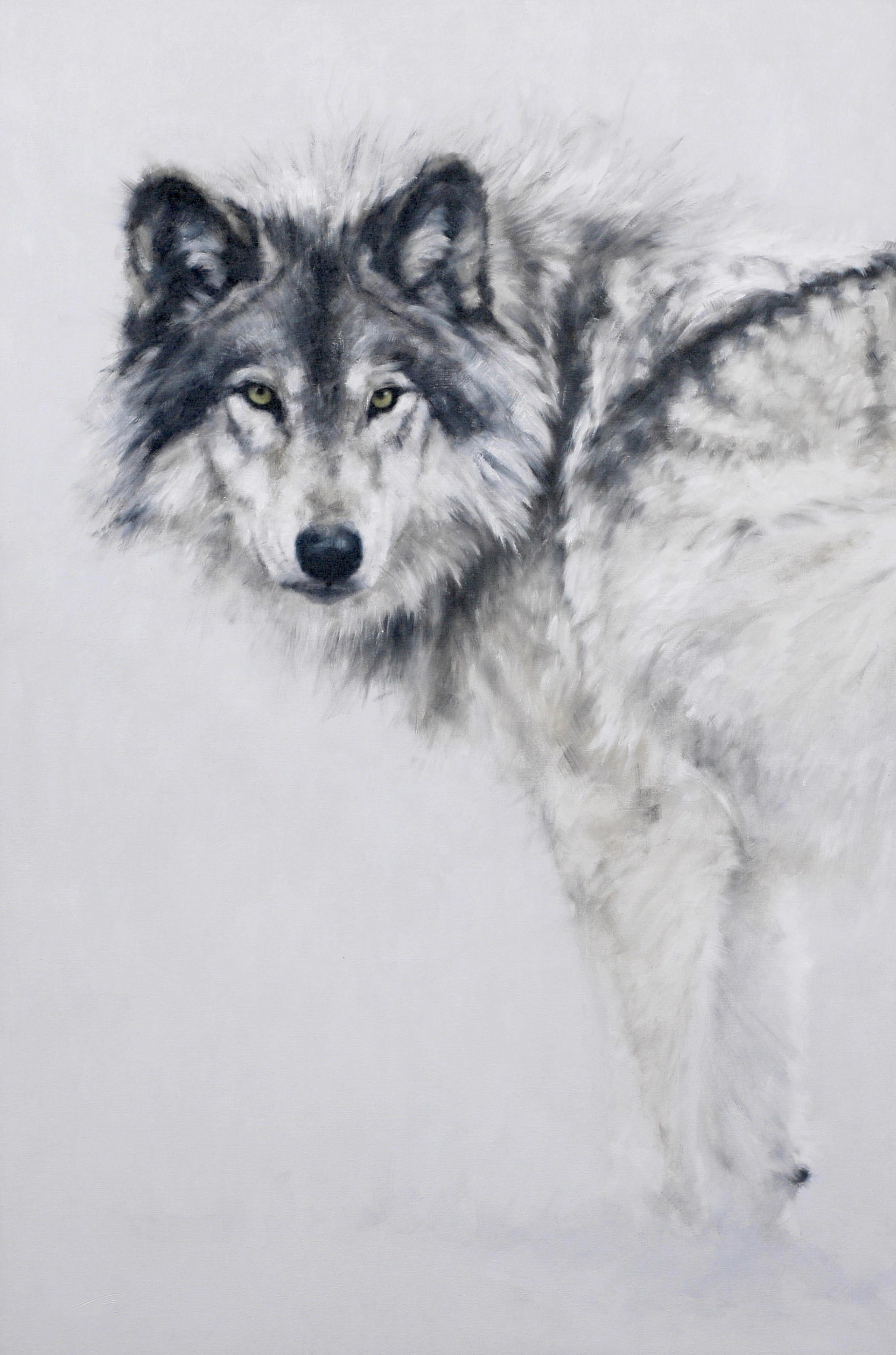 Original Oil Painting Featuring A Wolf Looking Back At Viewer With White Snowy Background