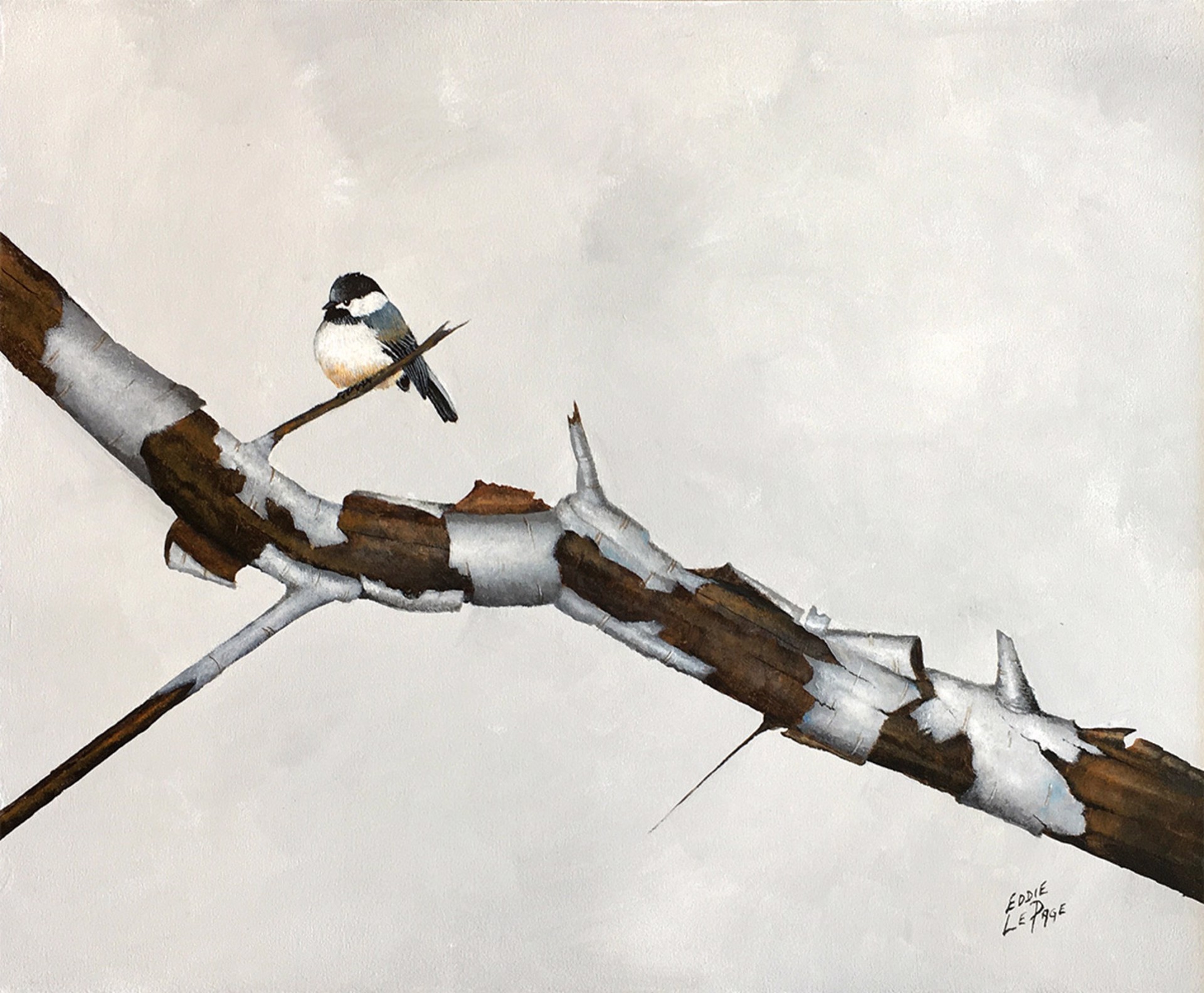 Chickadee on Branch by Eddie LePage