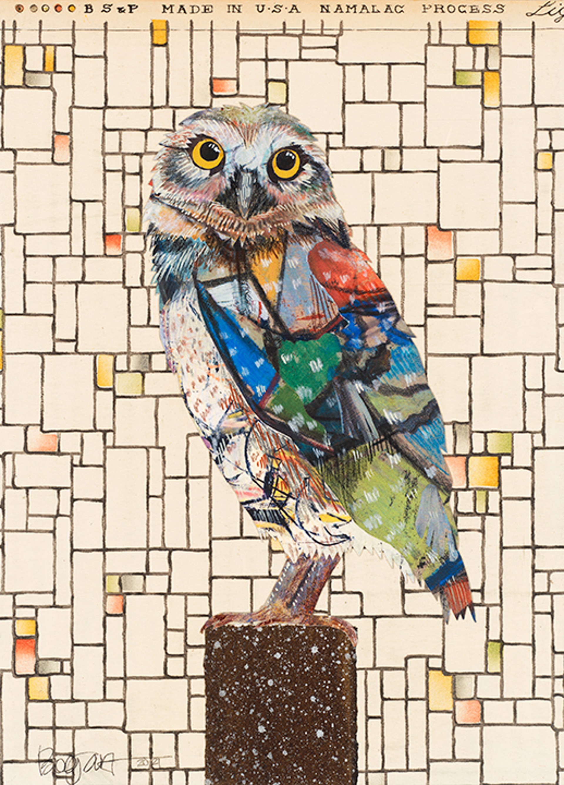 Screech Owl 2 by Brenda Bogart - Prints