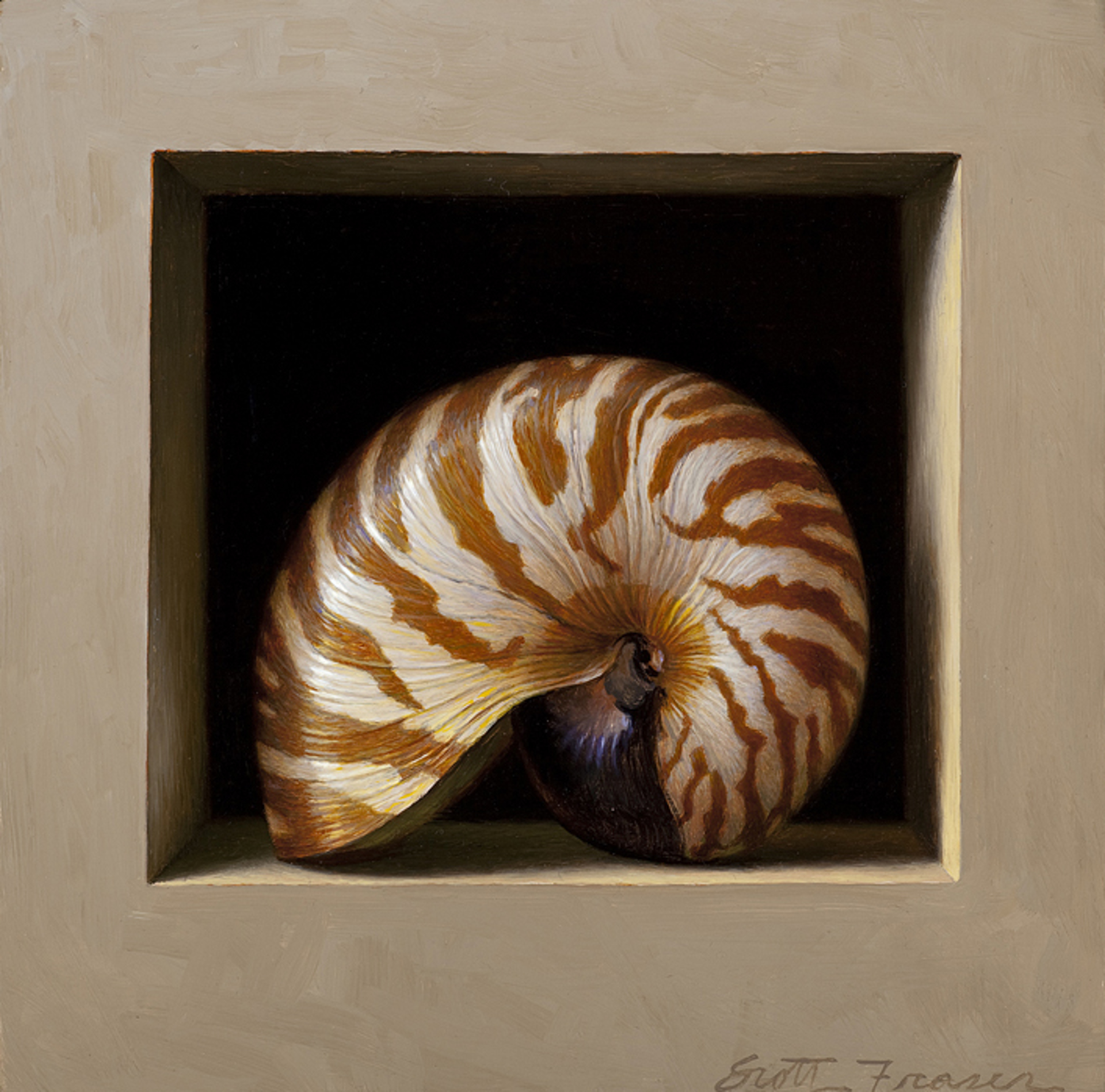 Nautilus Shell by Scott Fraser