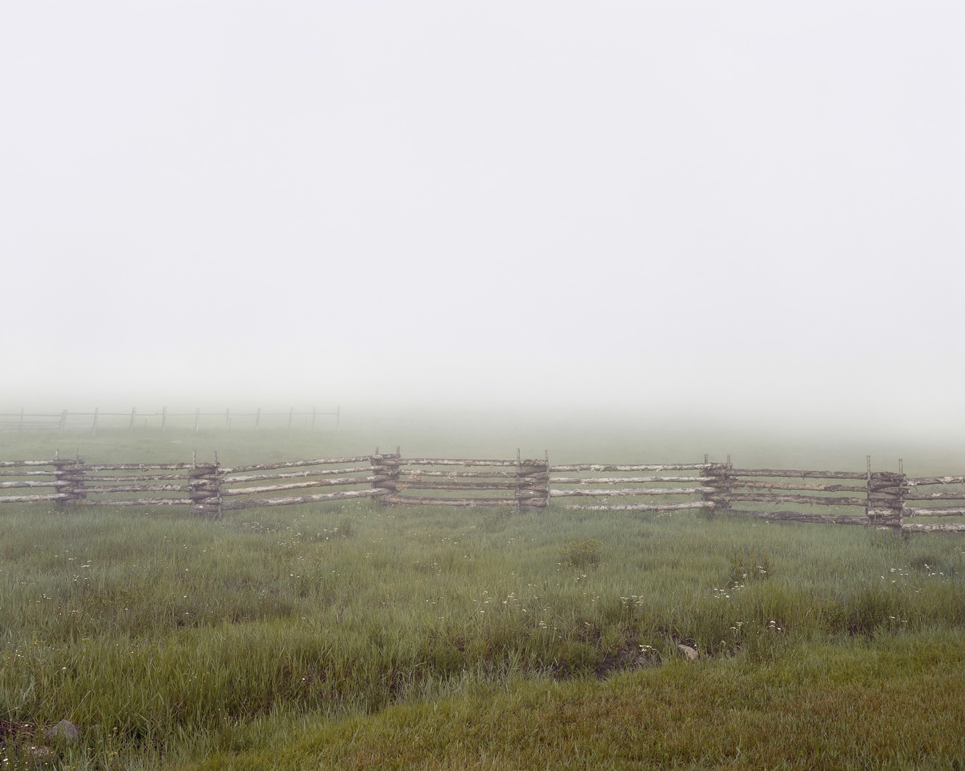 Fog, Fourth of July Creek Ranch, Custer County, Idaho, July 15th, 2004 by Laura McPhee