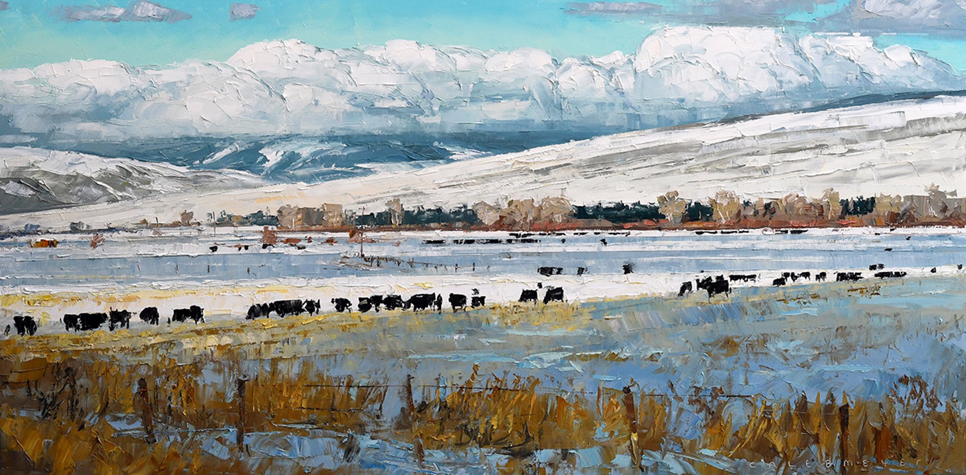 Original Oil Landscape Painting In Thick Palette Knife Brushstrokes By Caleb Meyer Featuring Black Cows Scattered Across A Snowy Landscape Of The Plains With Mountains In The Distance And Big White Clouds 