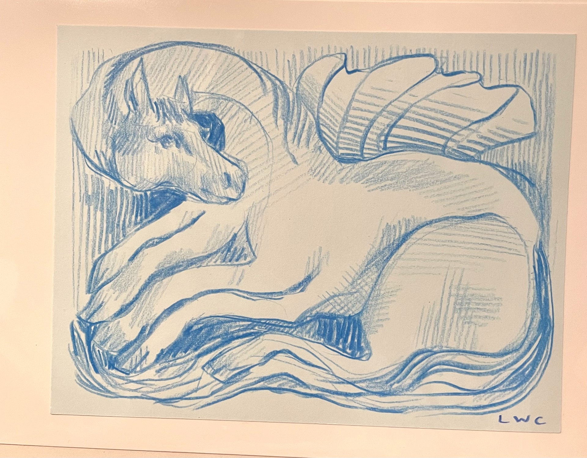 6 Legs Postcard by Lucie Wren Cooper