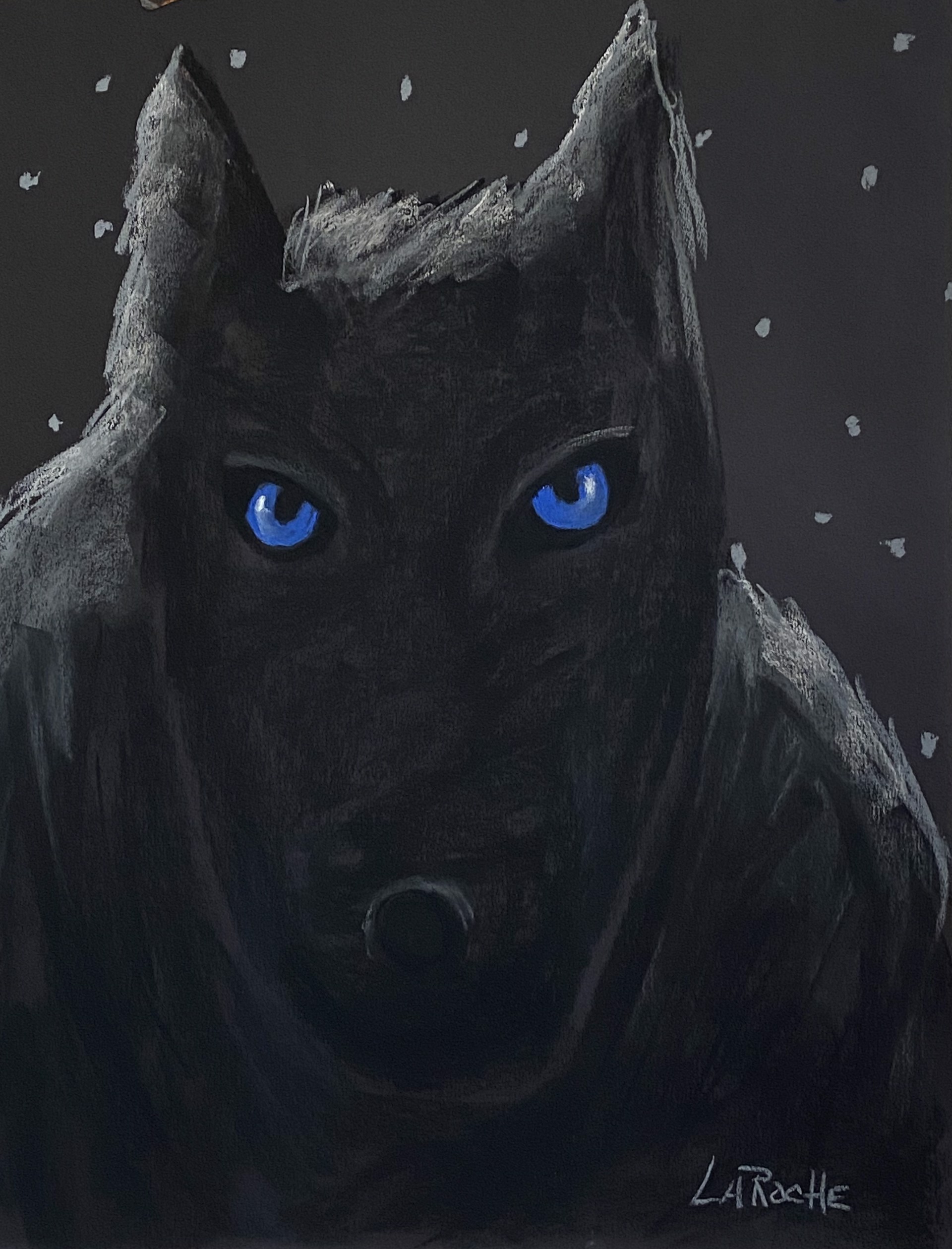 The Pack: Midnight Wolf by Carole LaRoche