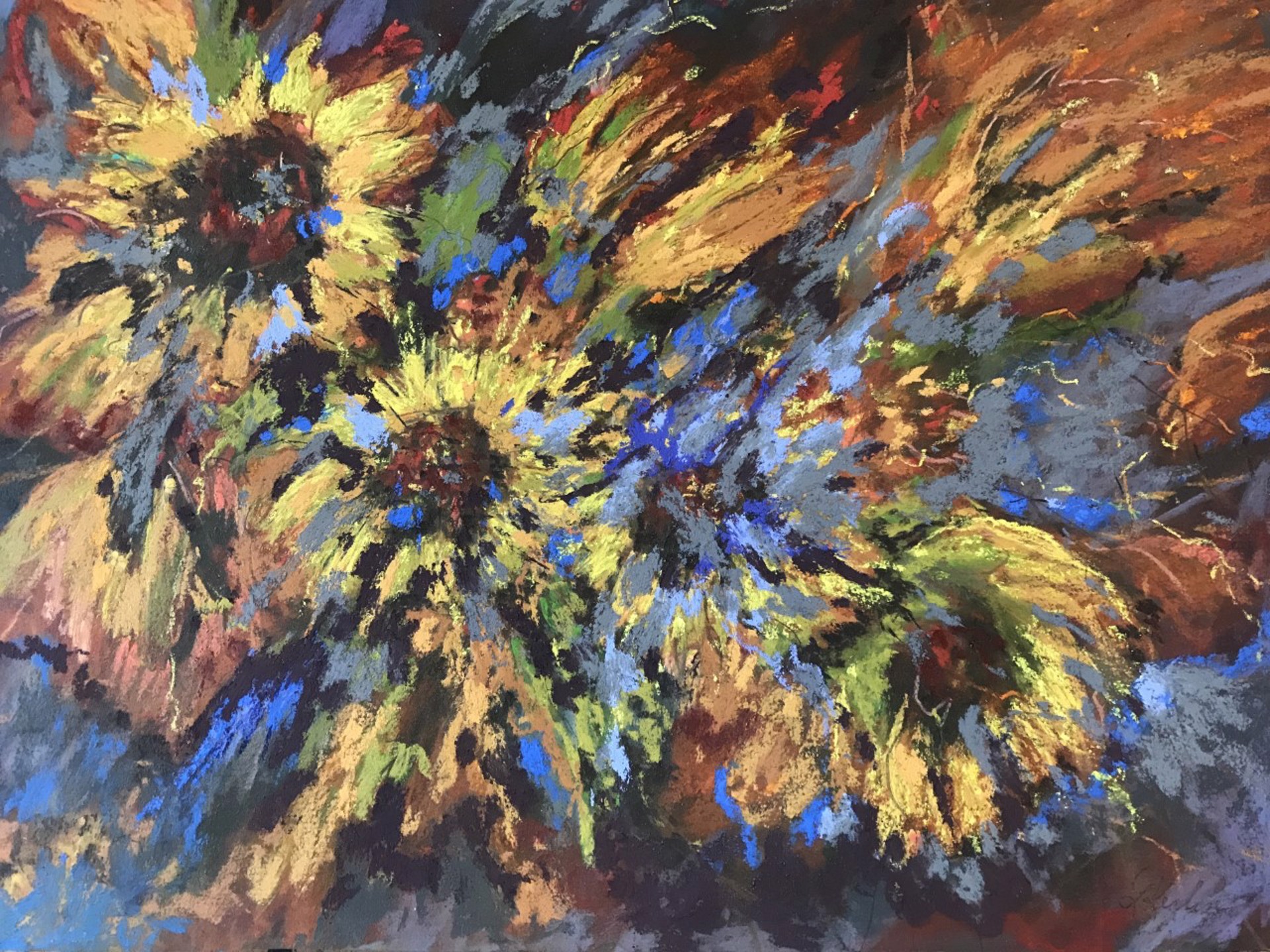 Sunflowers by Linda Kerlin