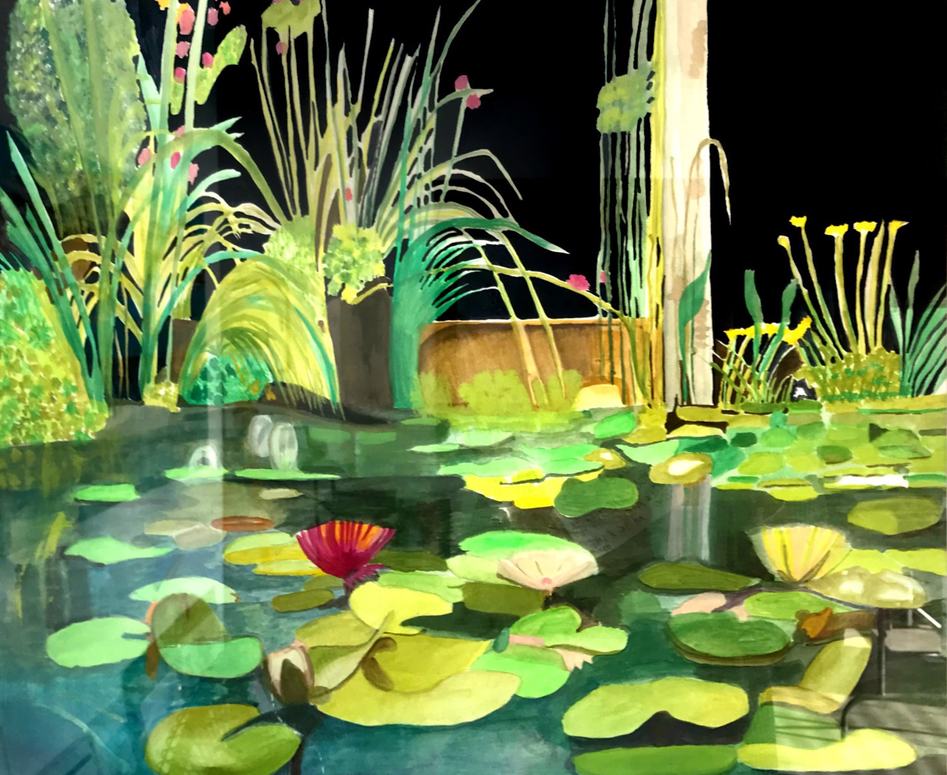 The Lily Pond by Aracelis Rivera