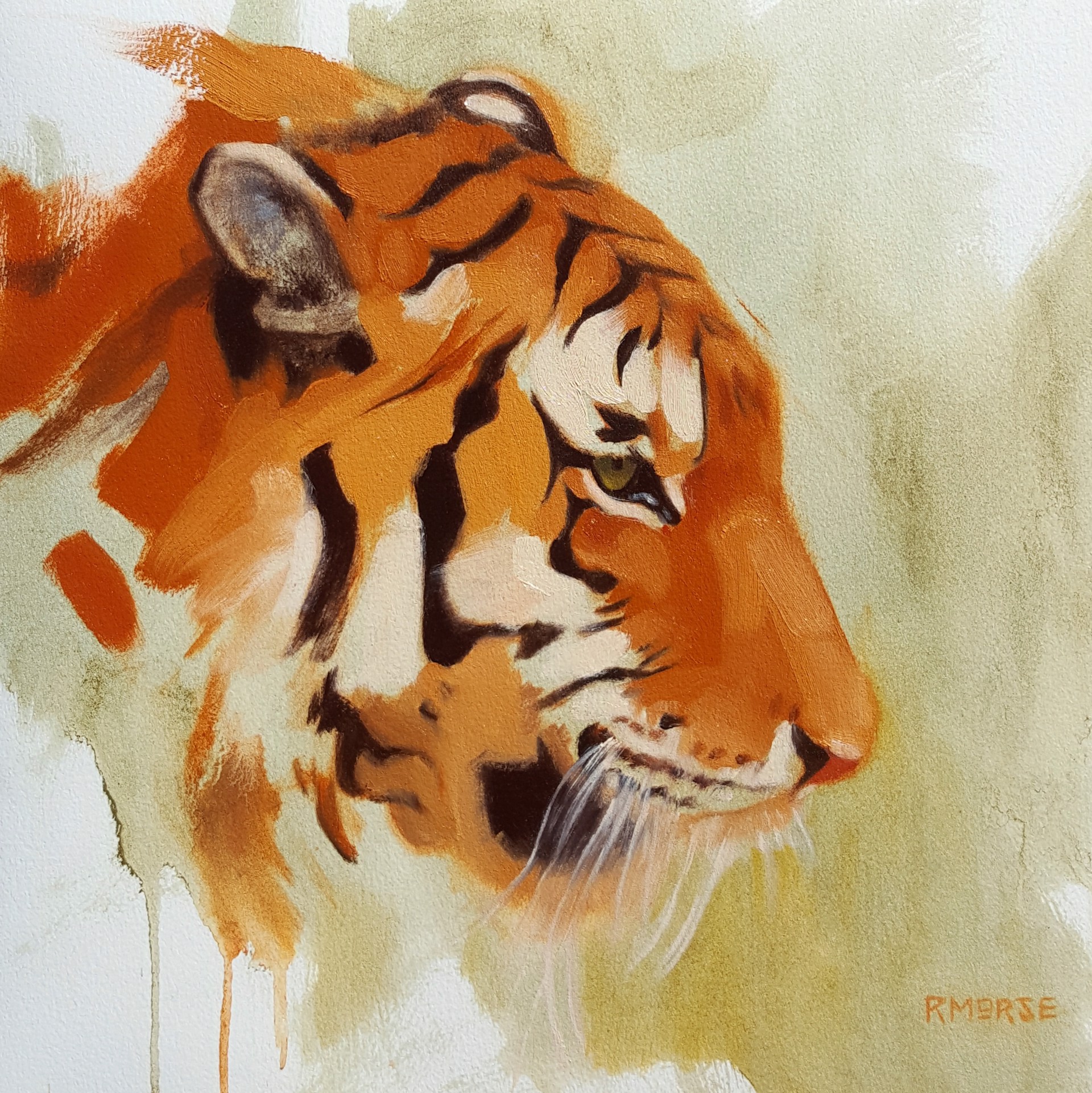 Le Tigre by Ryan Morse