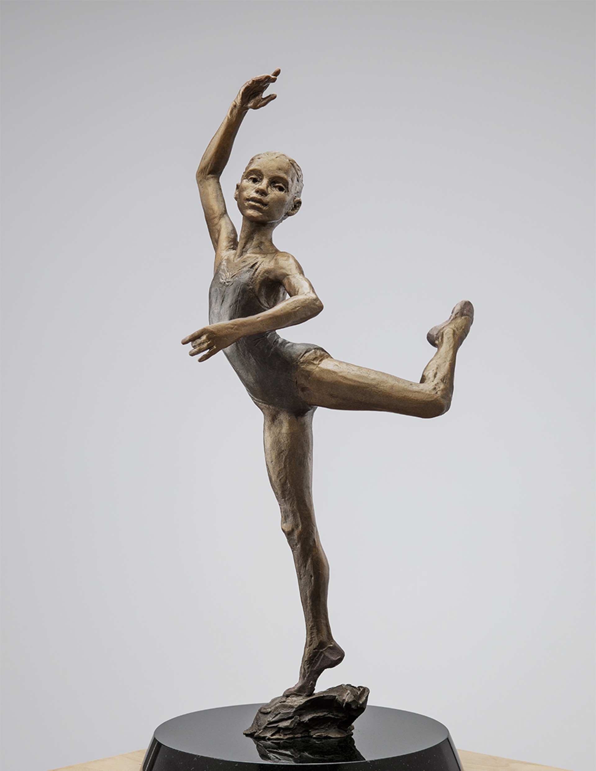 Tiny Dancer, The Dancers by Paige Bradley