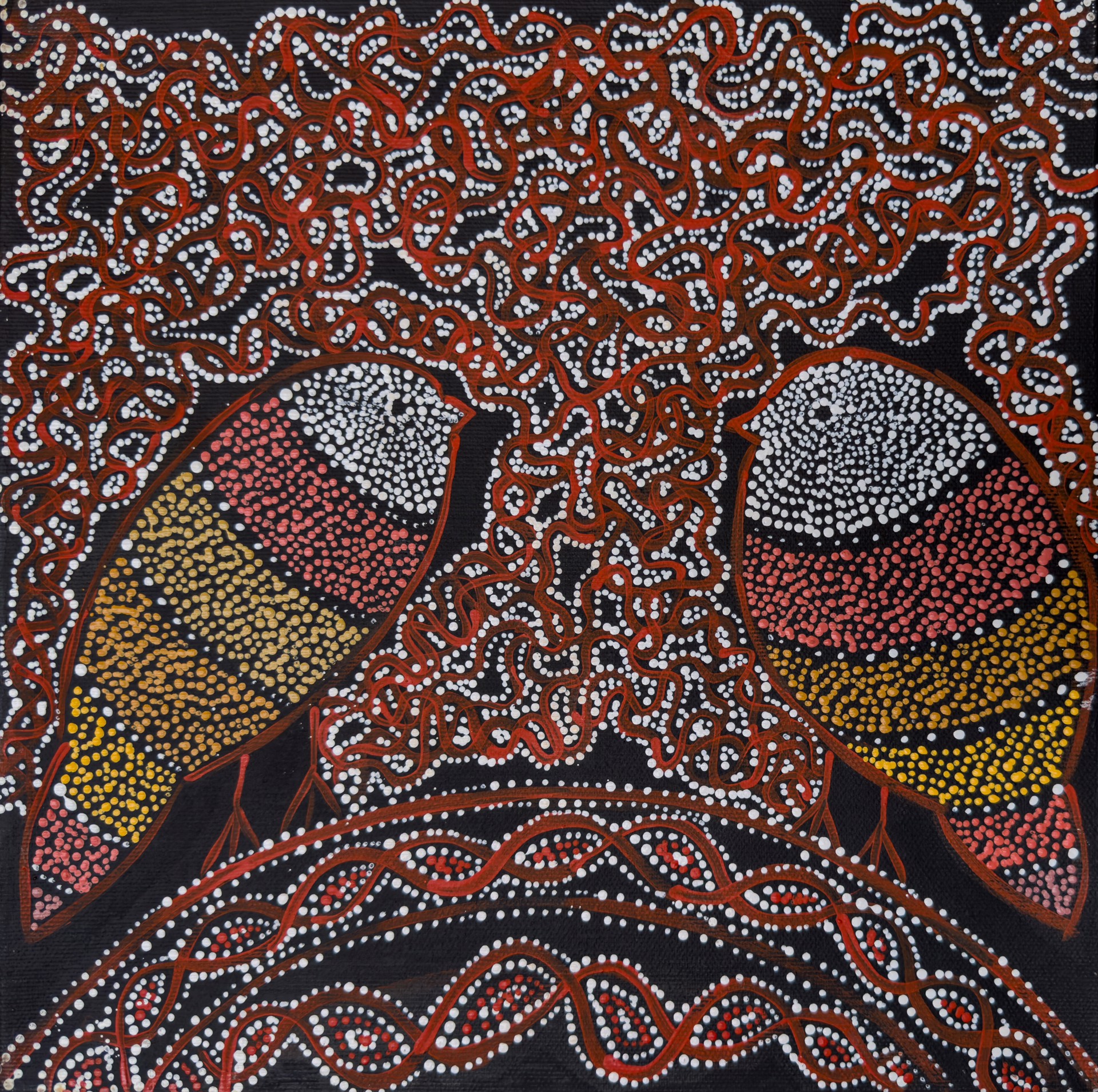 Geraldine Napangardi Granites- Ngalyipi Jukurrpa (Snake Vine Dreaming)- Purturlu by Warlukurlangu Artists