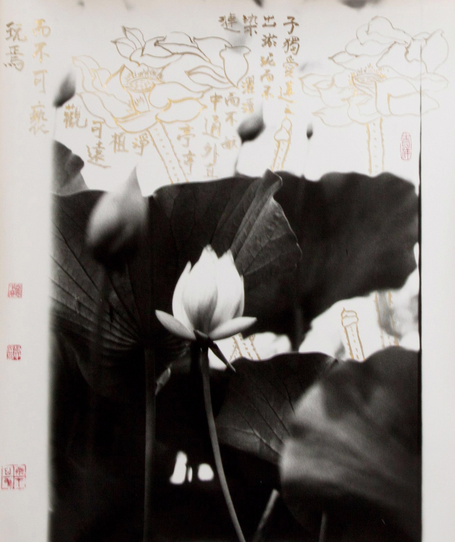 Love Lotus Essay #6 by Chung-Ping Cheng