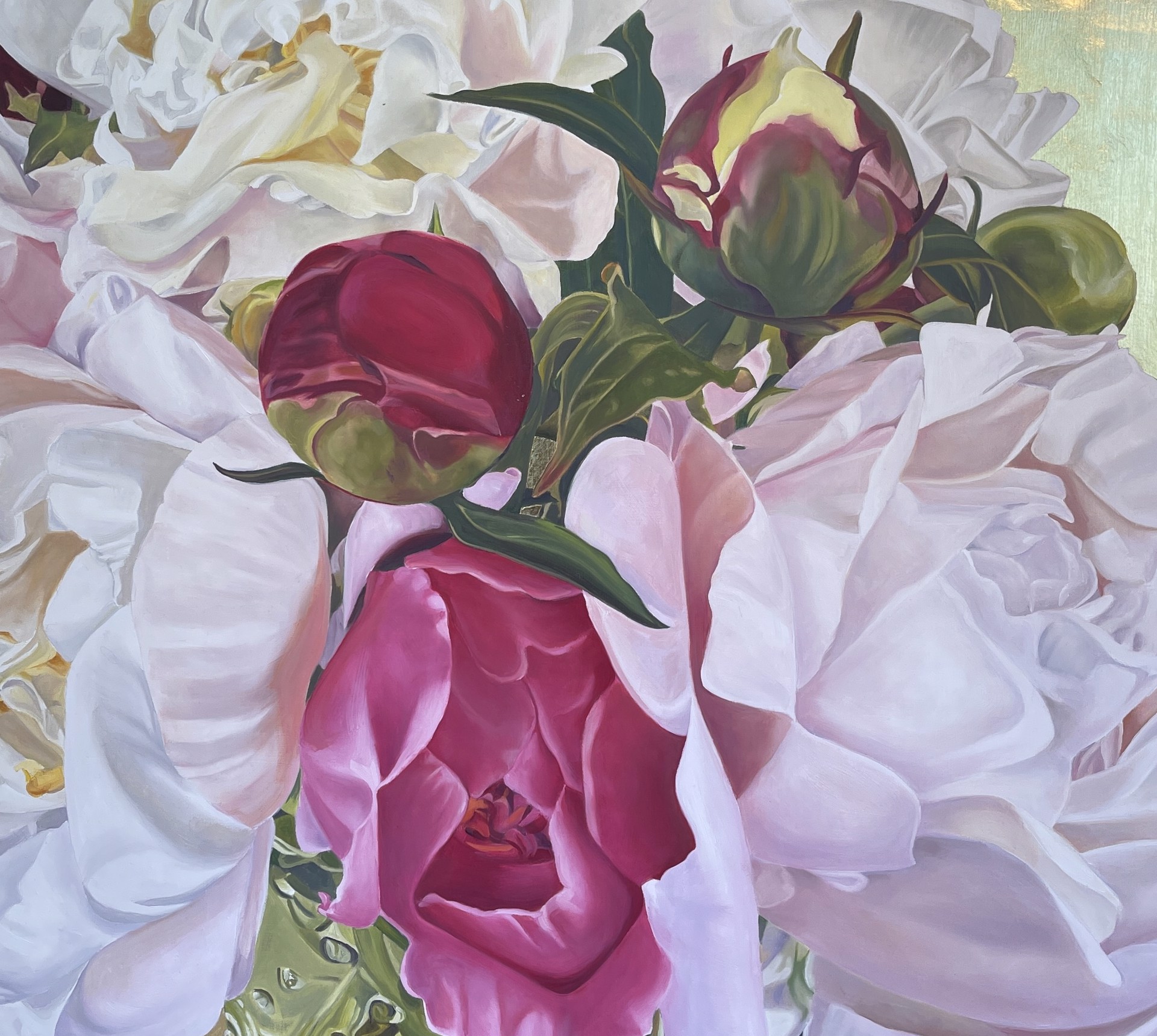 June (peonies white and pink buds) by Stephanie Danforth