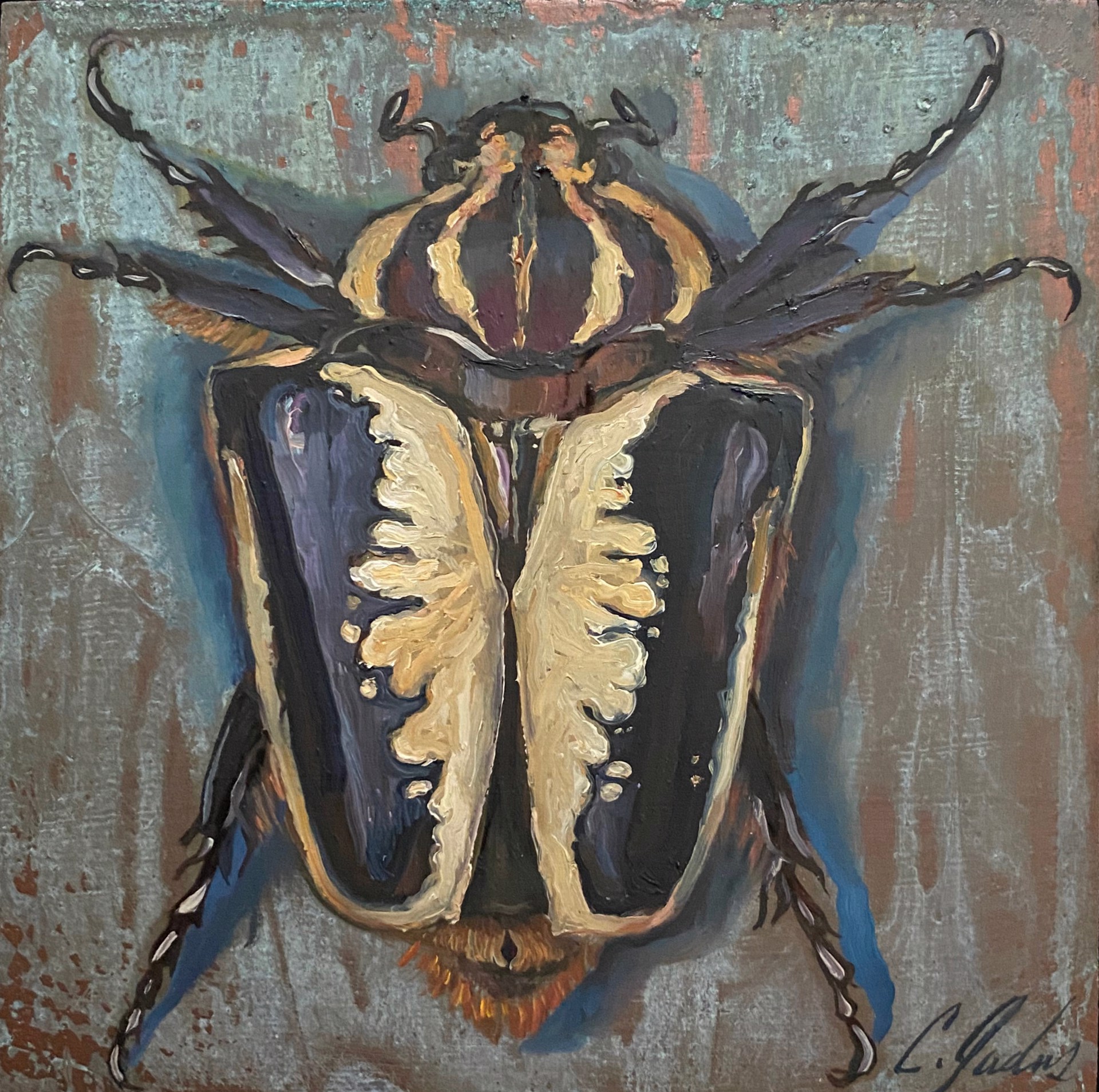 Rorschach Scarab by Carrie Jadus