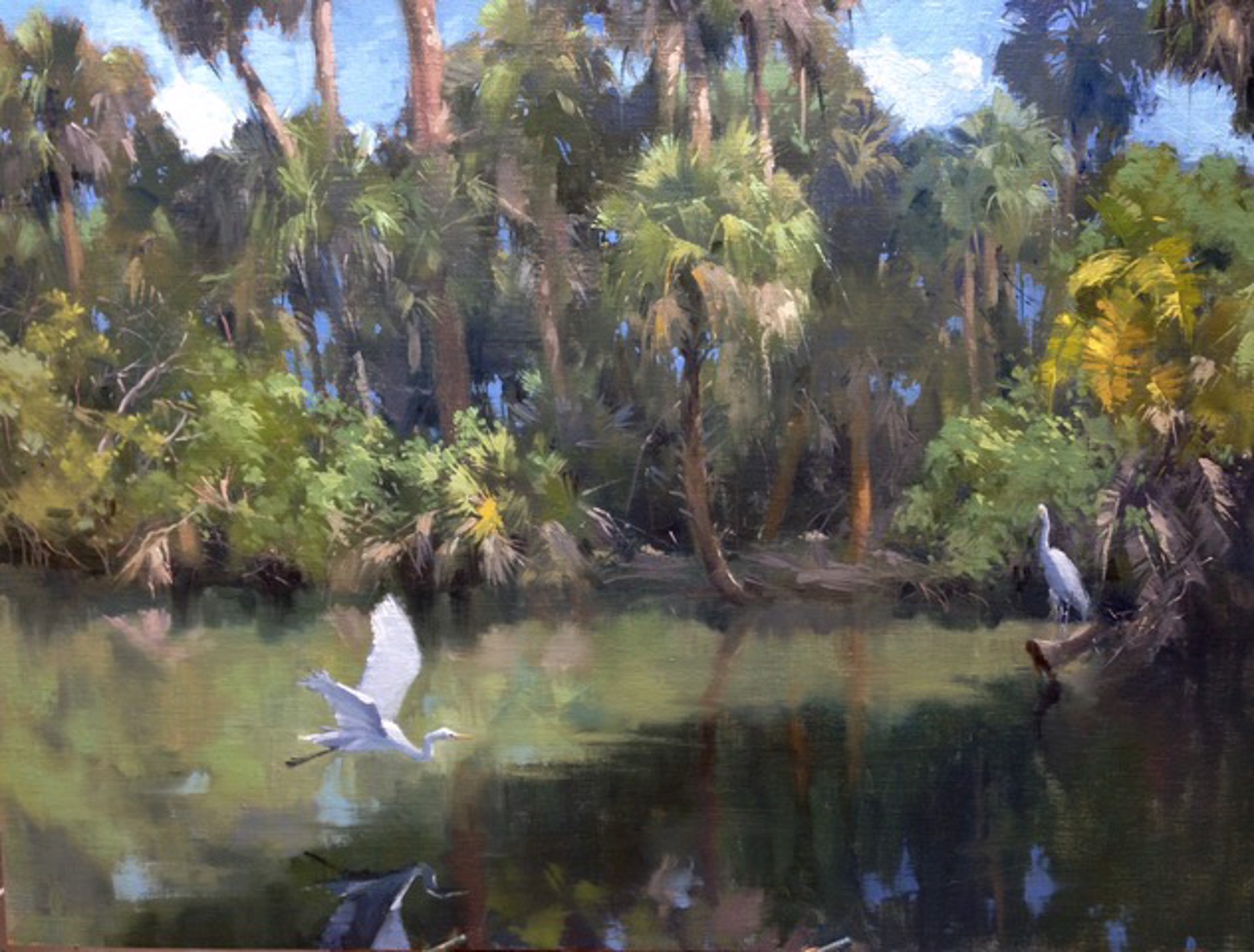 Egrets Paradise by Morgan Samuel Price