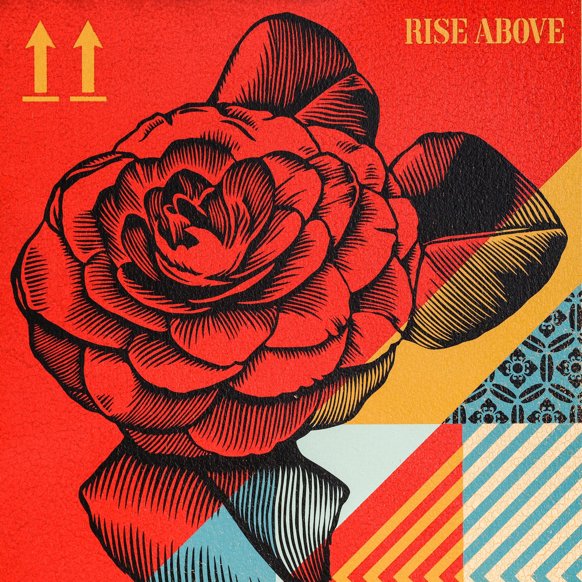 Rise Above Flower by Shepard Fairey / Limited editions