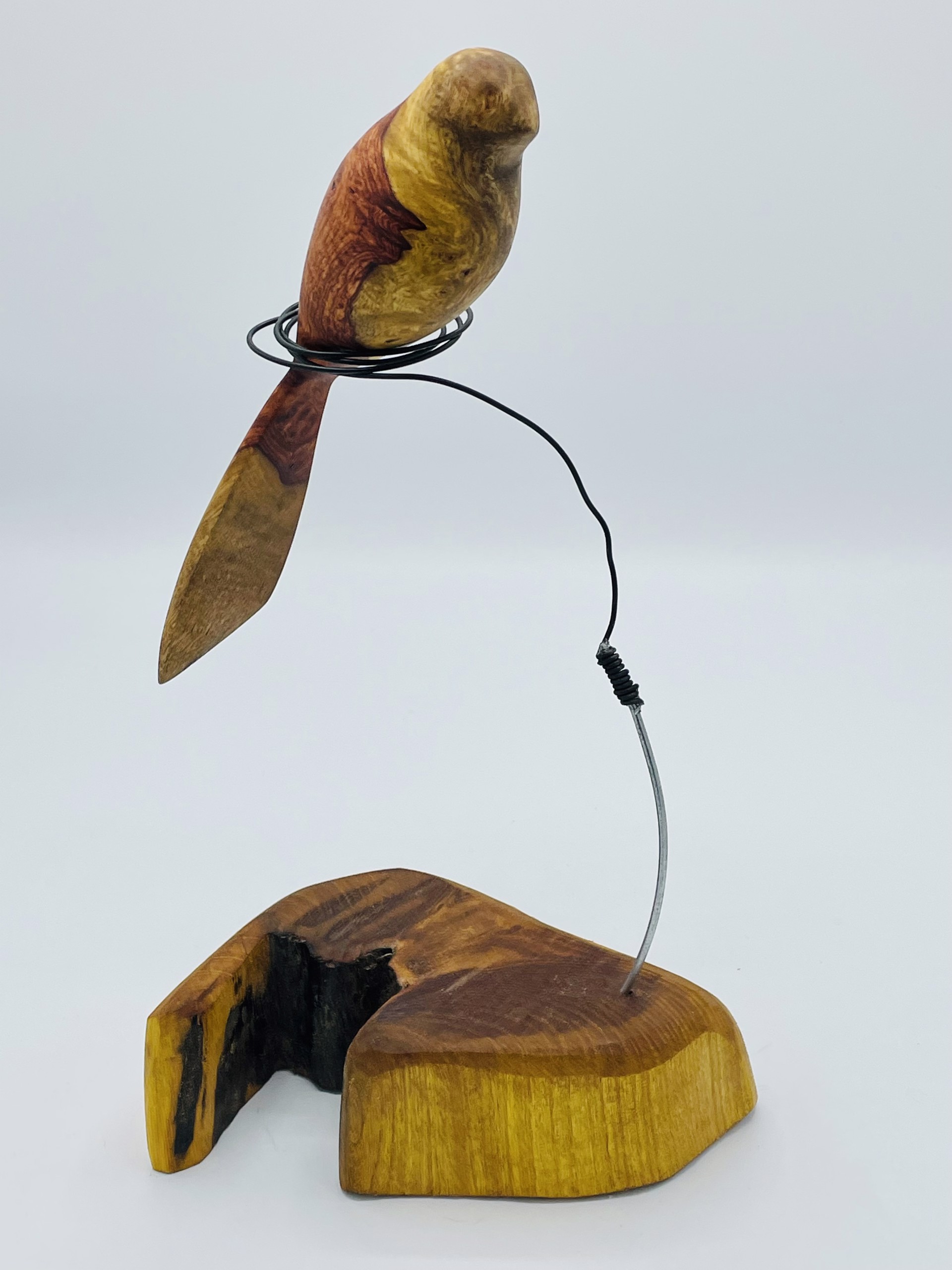 Bodock Amboyna Wood Bird by Michael Stephenson