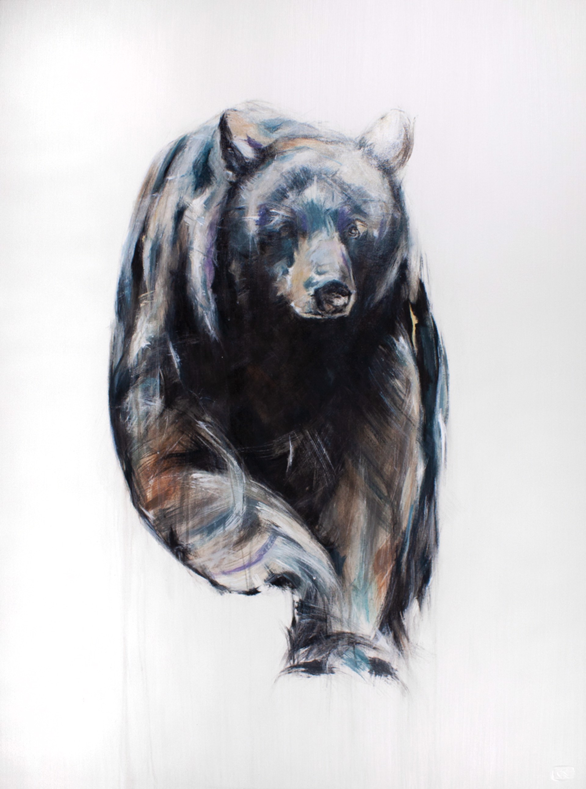 Black Bear by Myriam Rousseau