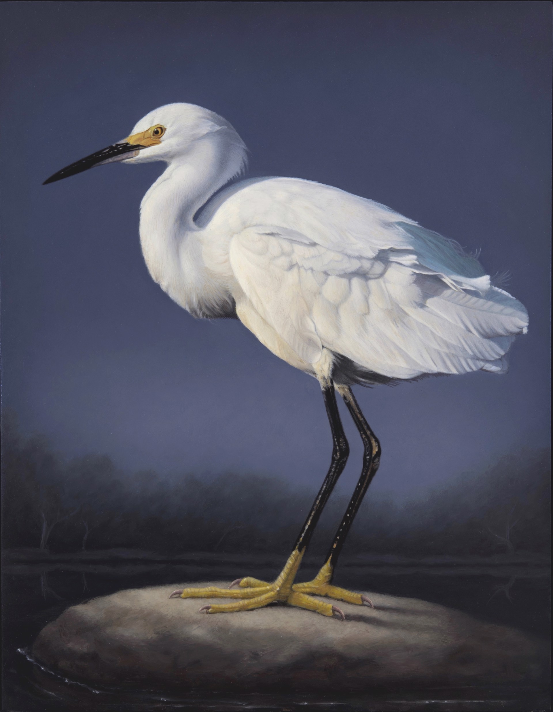 Snowy Egret by Susan McDonnell