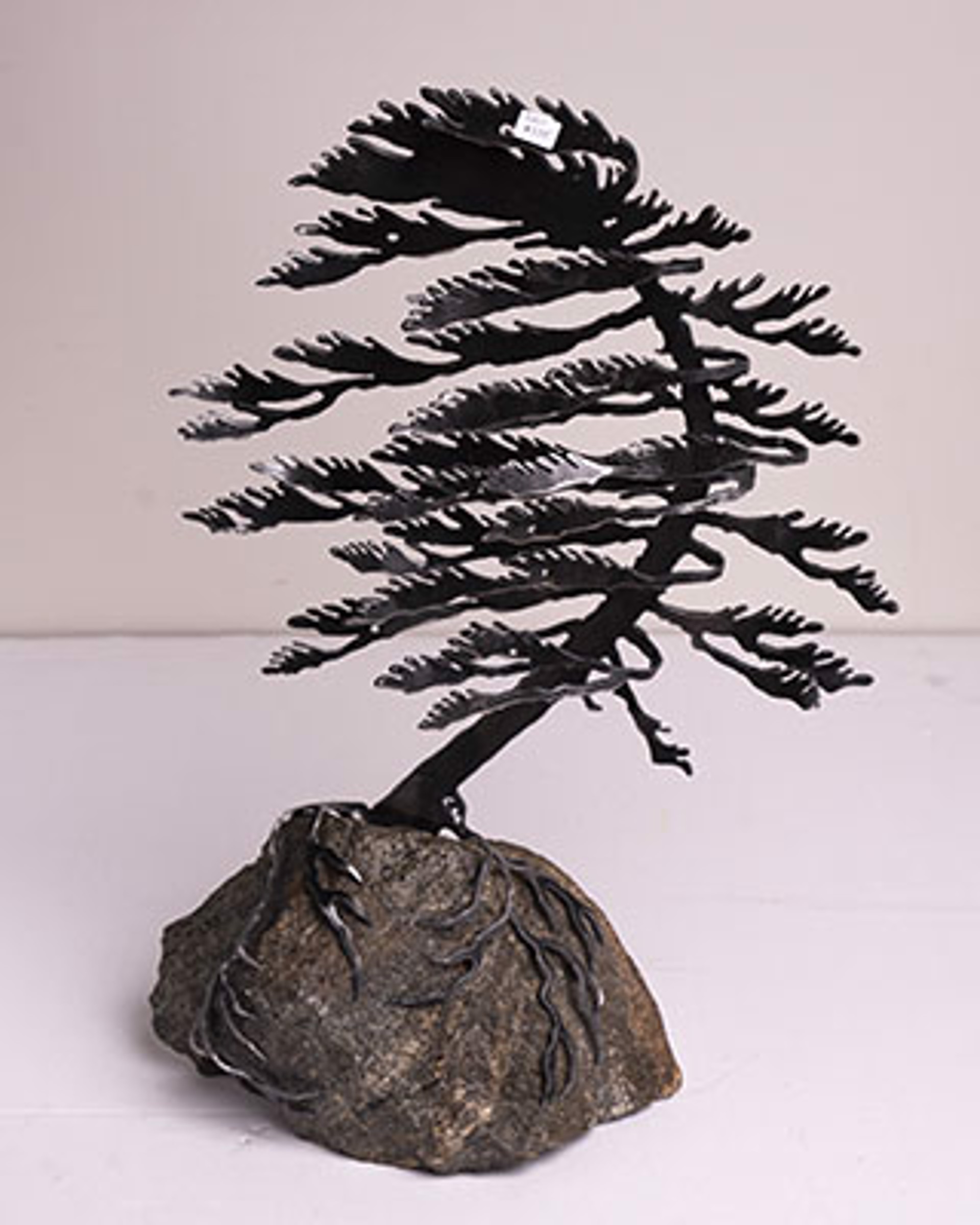 Windswept Pine 5811 by Cathy Mark