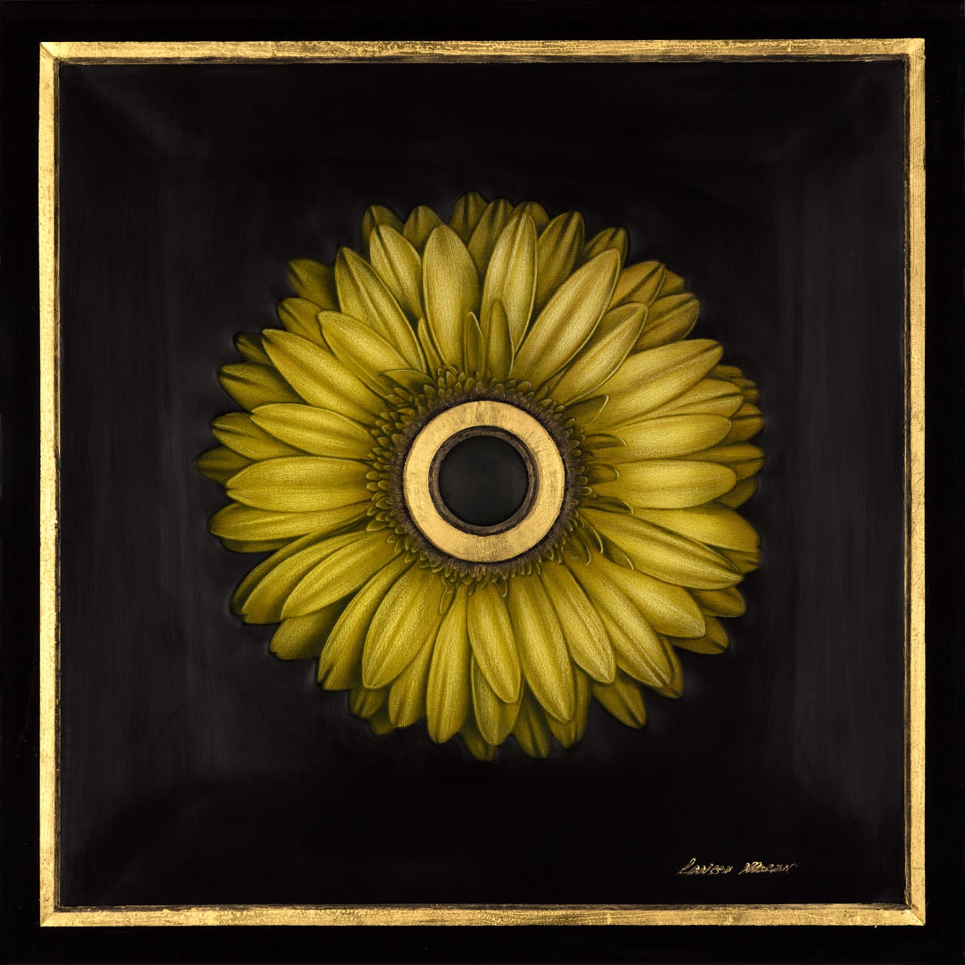 Solar Eclipse  by Larissa Morais