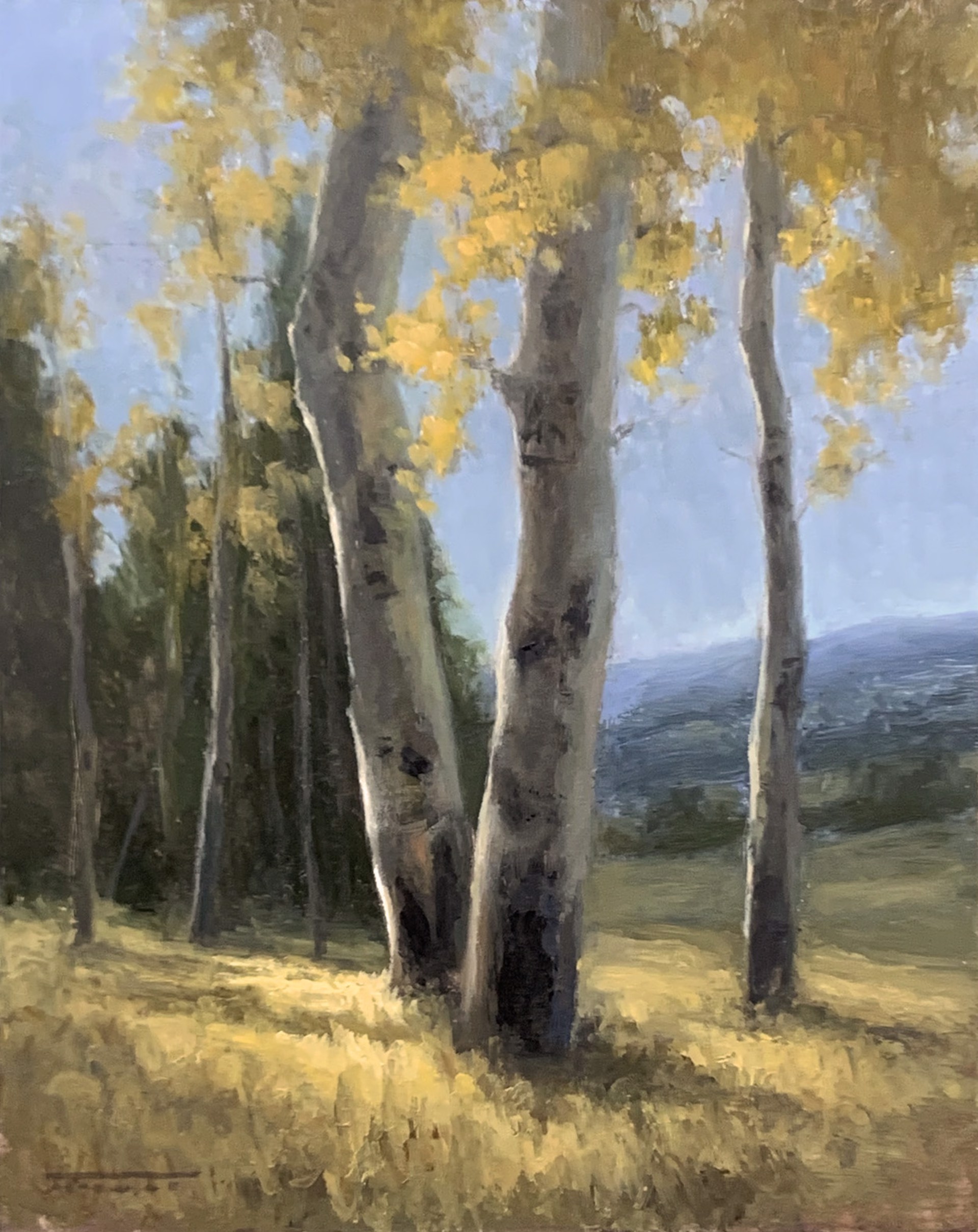 Colorado Aspens by Jane Hunt