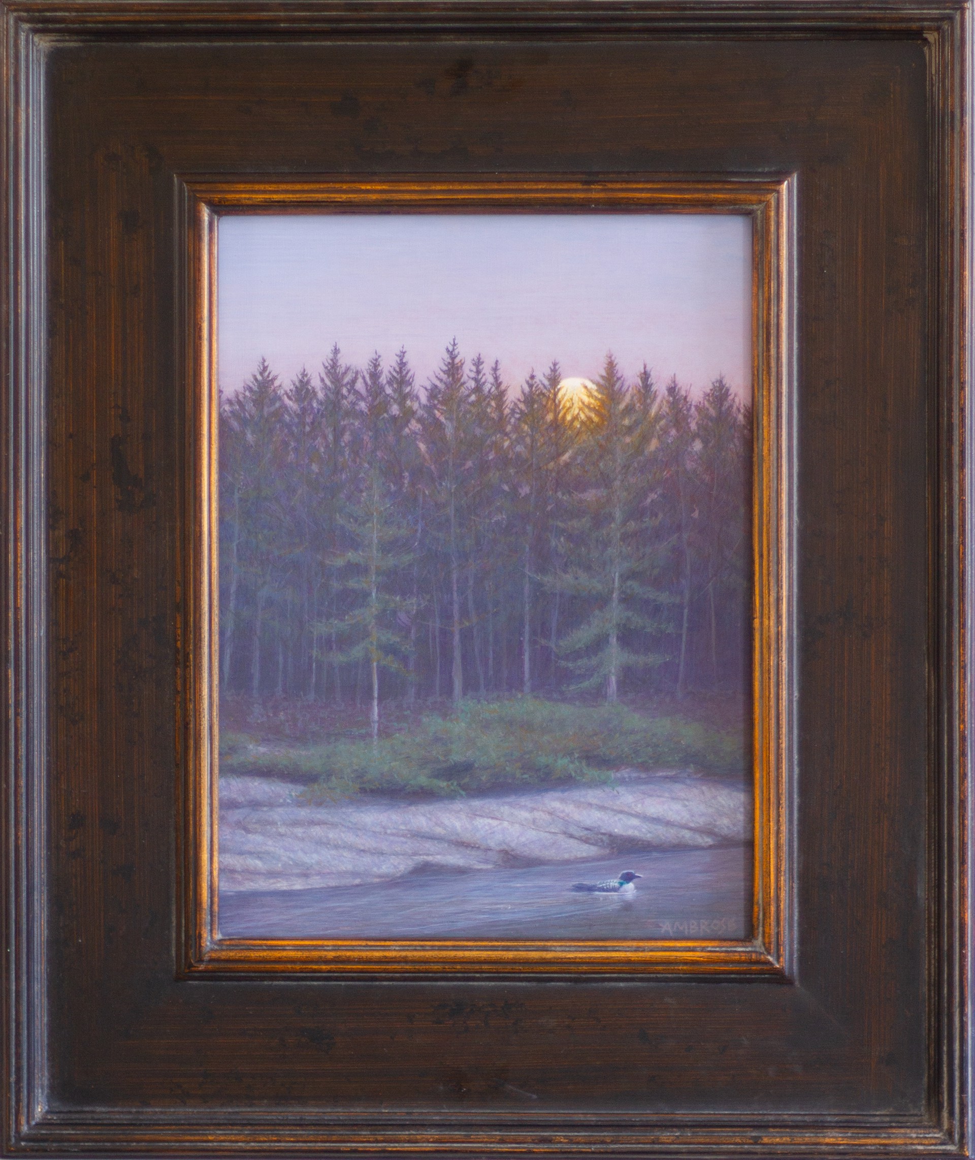 Maine Moonrise by Daniel Ambrose