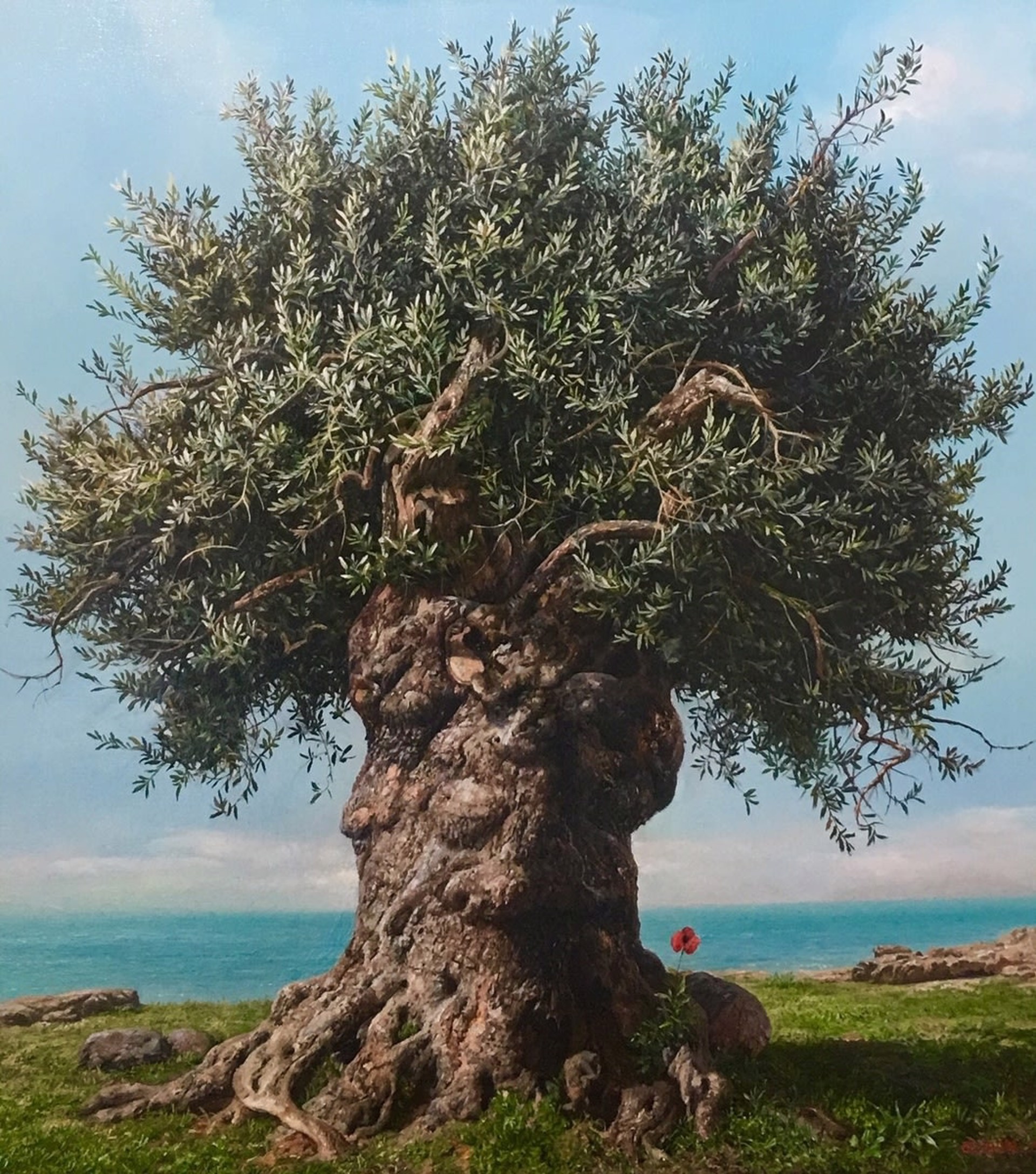 Ancient Olive Tree II by Elidon Hoxha