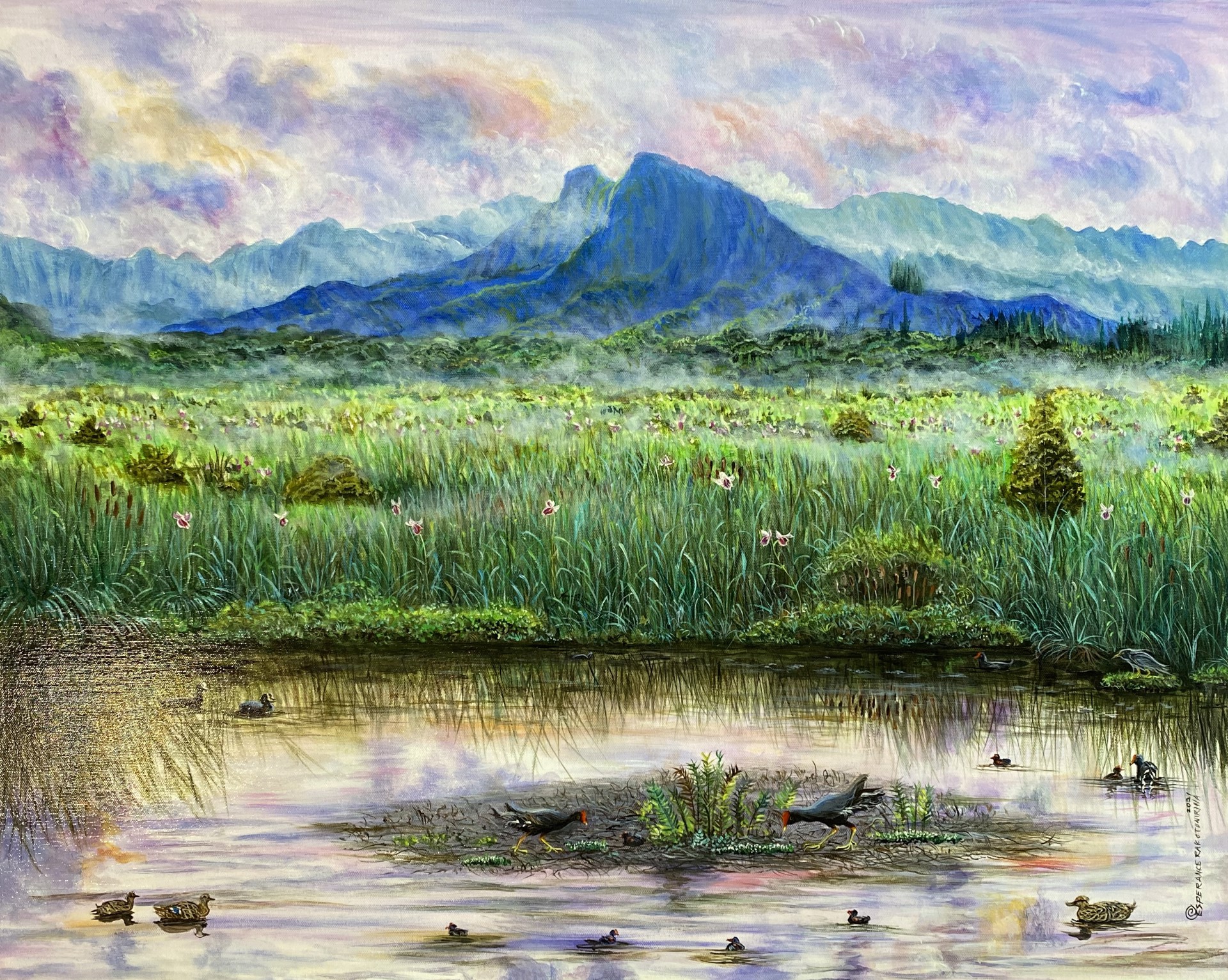 Kawainui Marsh Wetland by Esperance Rakotonirina