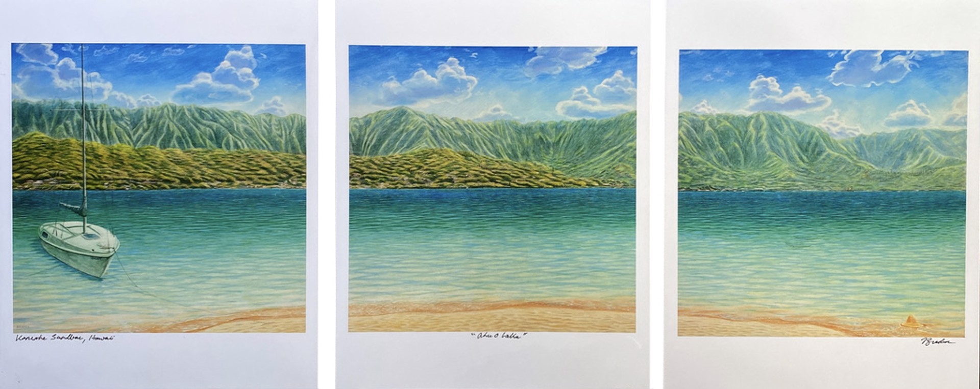Sandbar Solitude (Triptych) by Bill Braden
