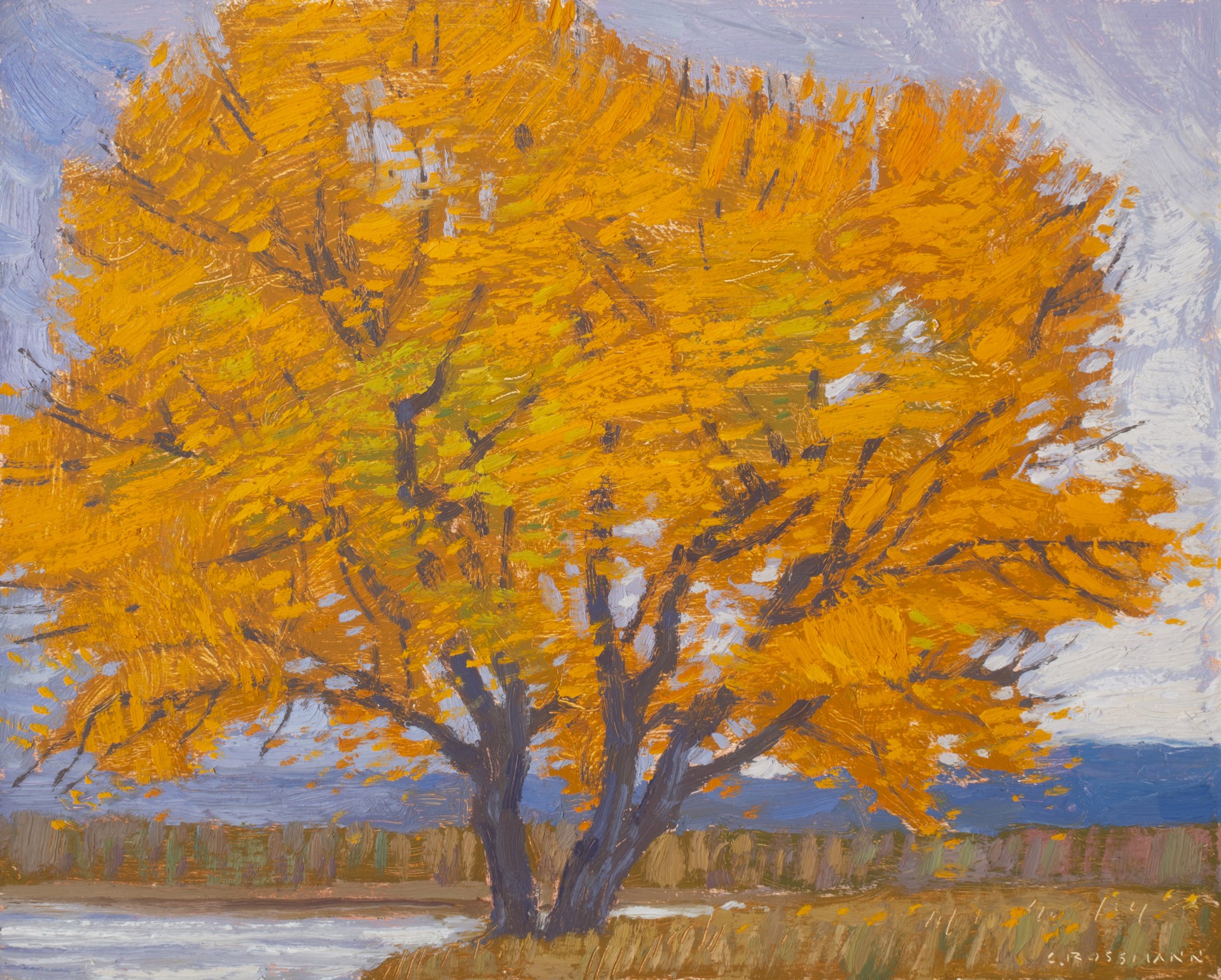 October Cottonwood with Coming Storm by David Grossmann