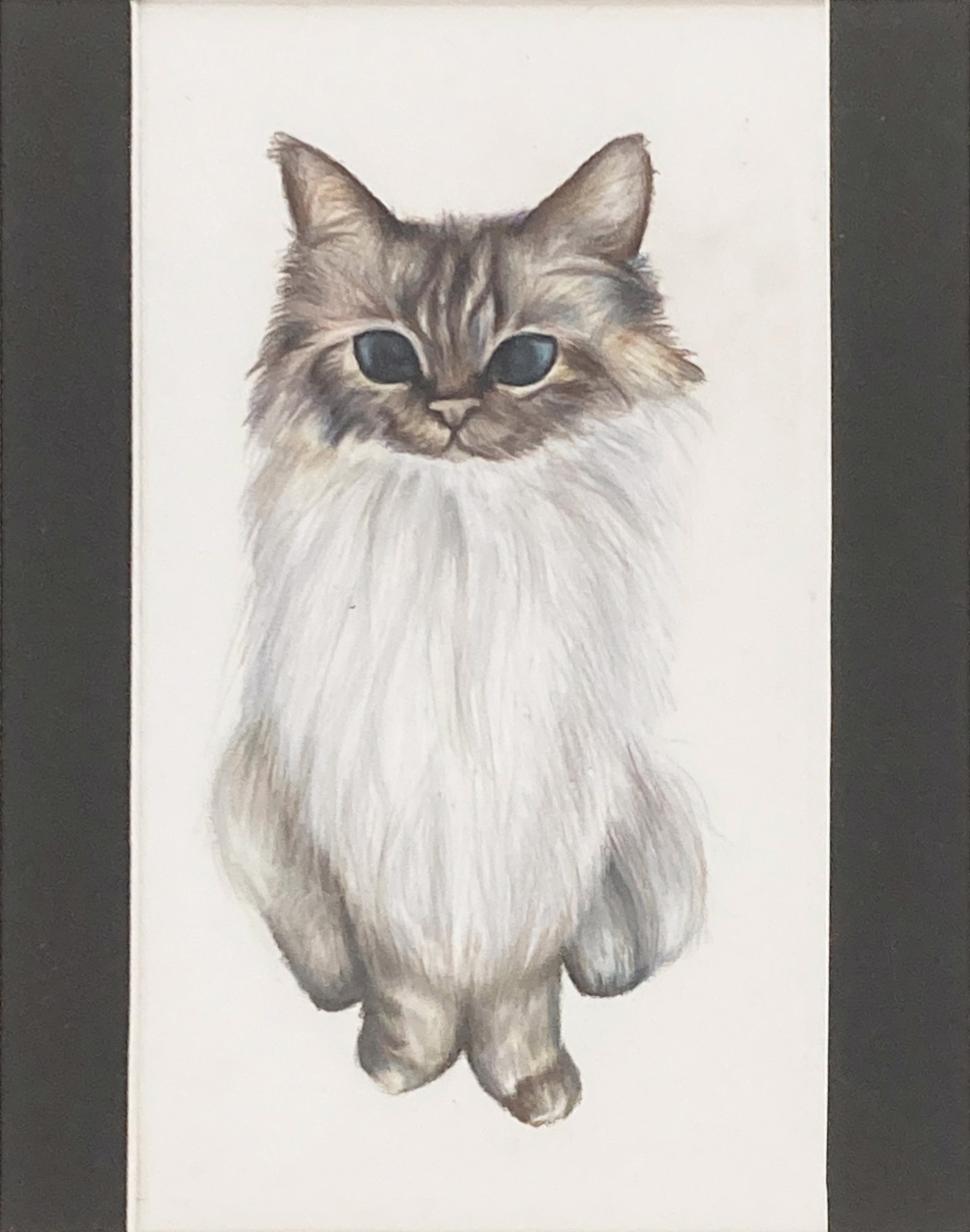 Cat by Ella Aretakis