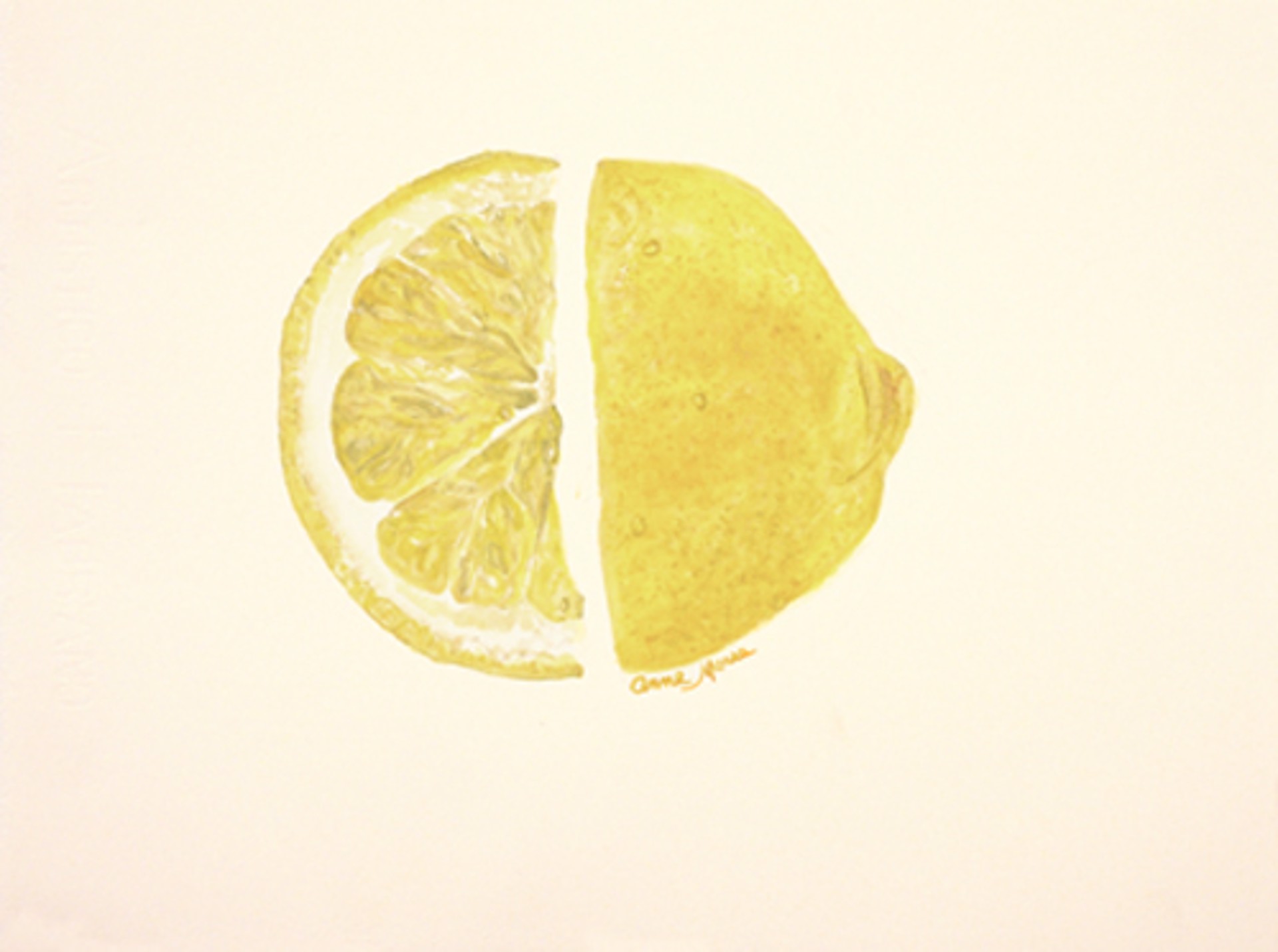 Lemon by Anne Maree Lawrence