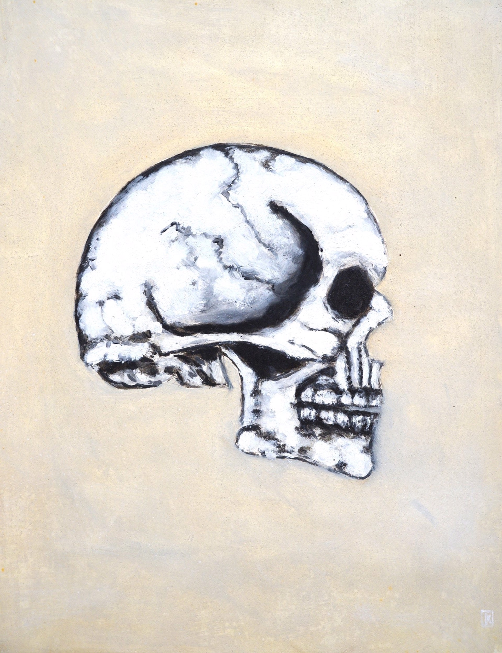 Skull Study- Painting by Kyle Parker Cunningham by Kyle Parker Cunningham