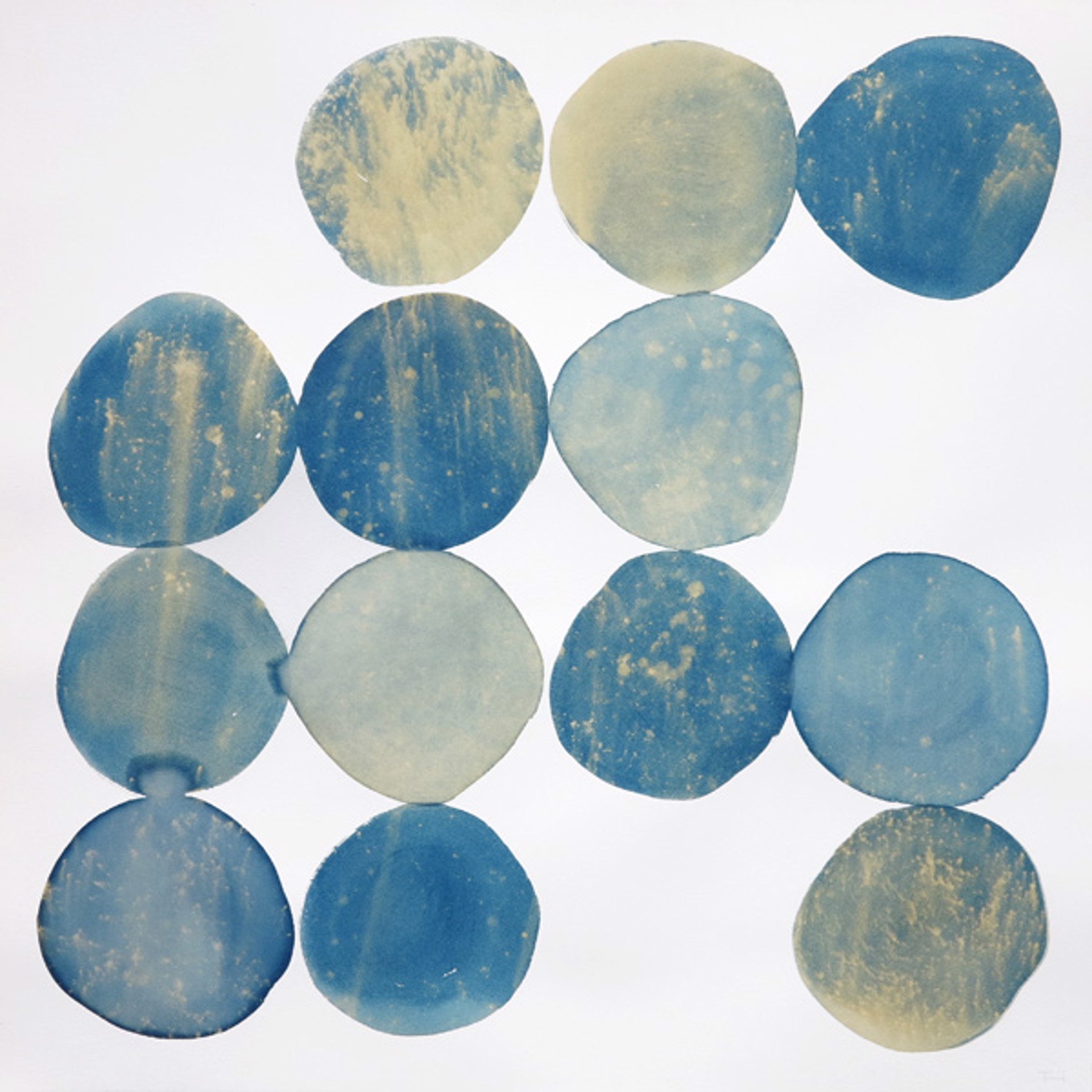 Blue Cluster II by Terri Dilling