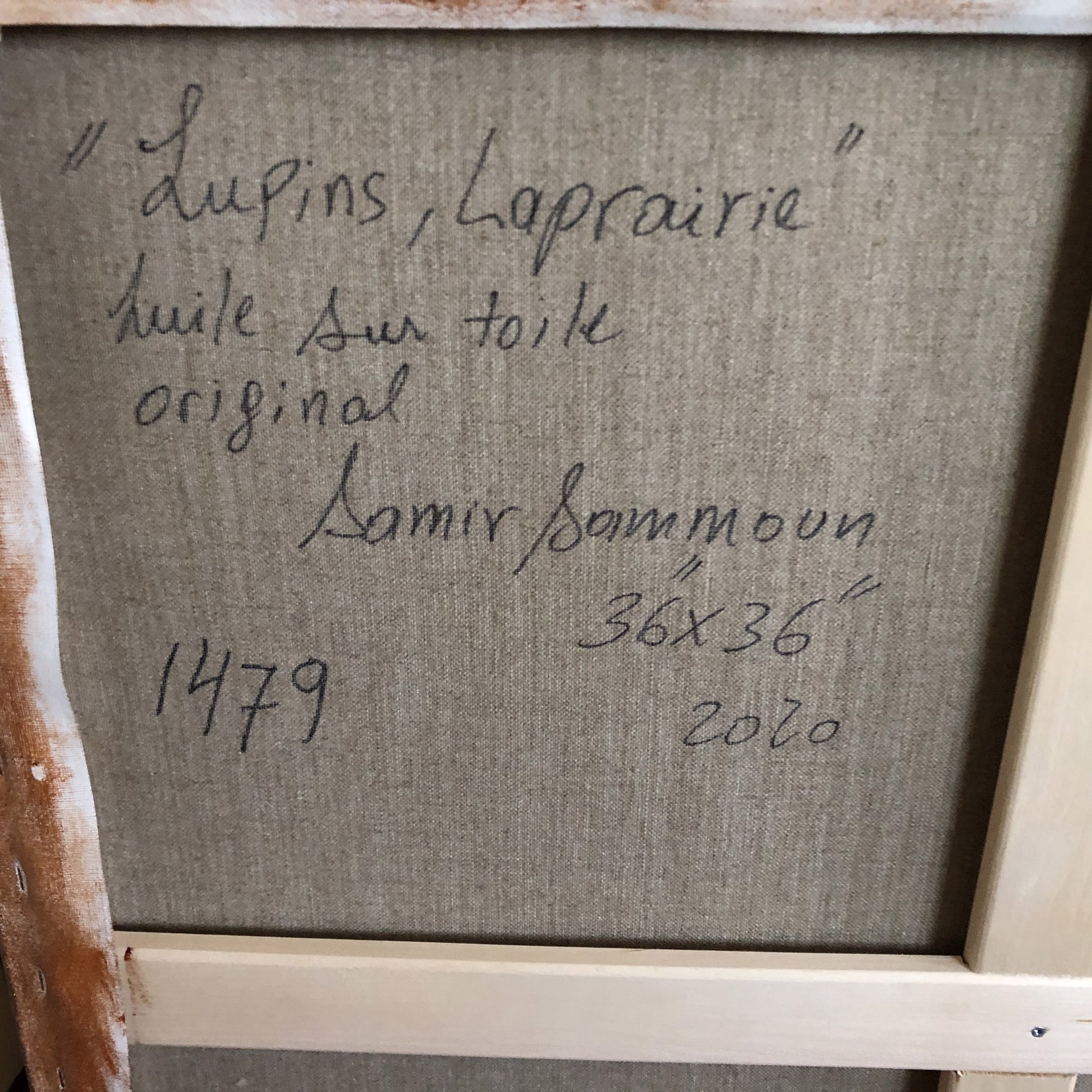 Lupins, Laprairie by Samir Sammoun