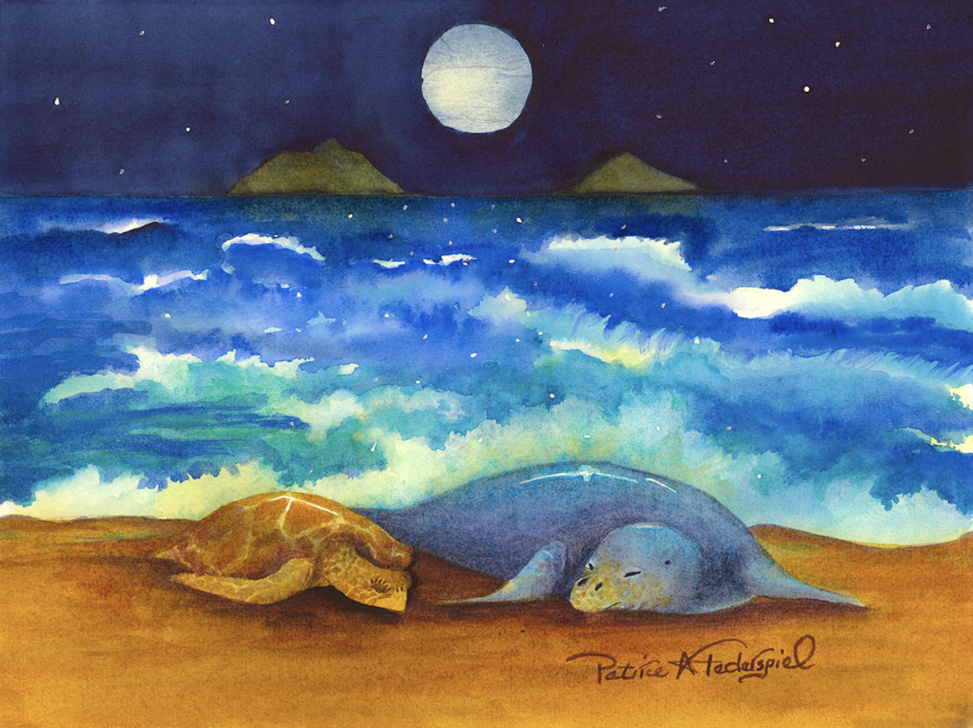 Lanikai Beach Nap by Patrice Ann Federspiel