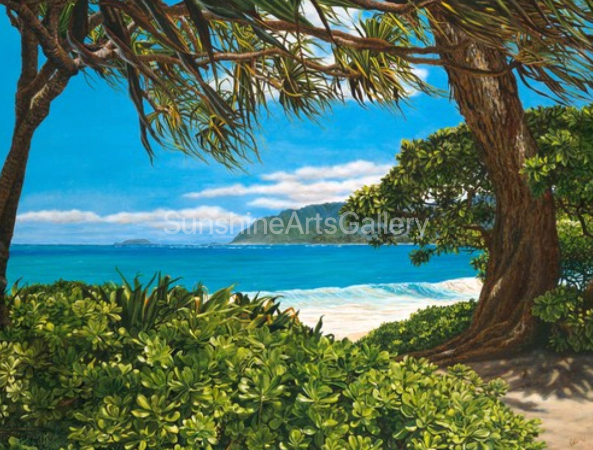 Lovely Laie Beach by Pati O'Neal