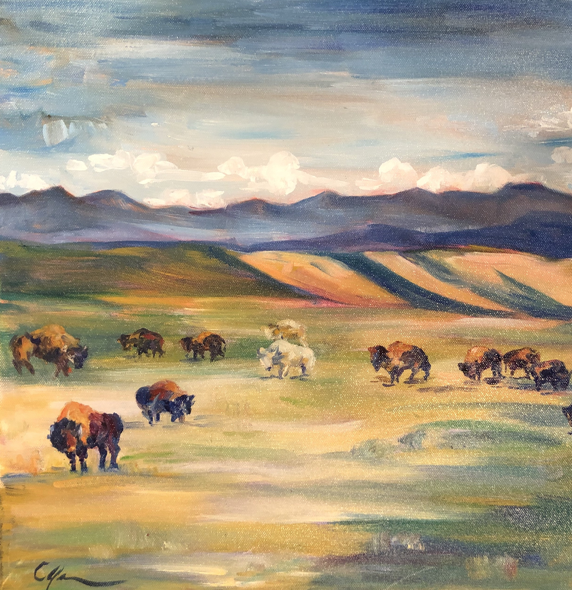Meadows Herd by Connie Johnson