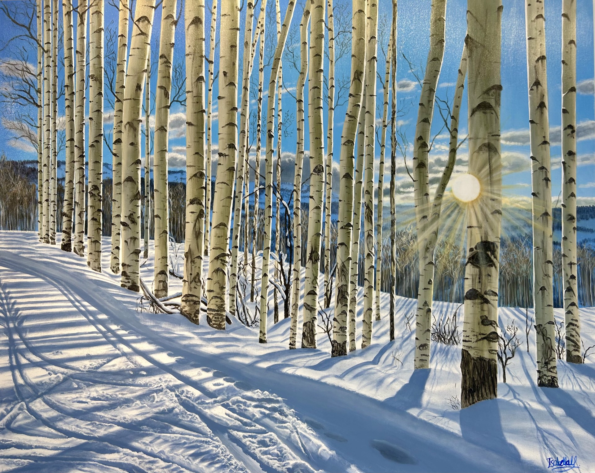 Cross Country Skiing in Snowmass by Isabella Garaffa
