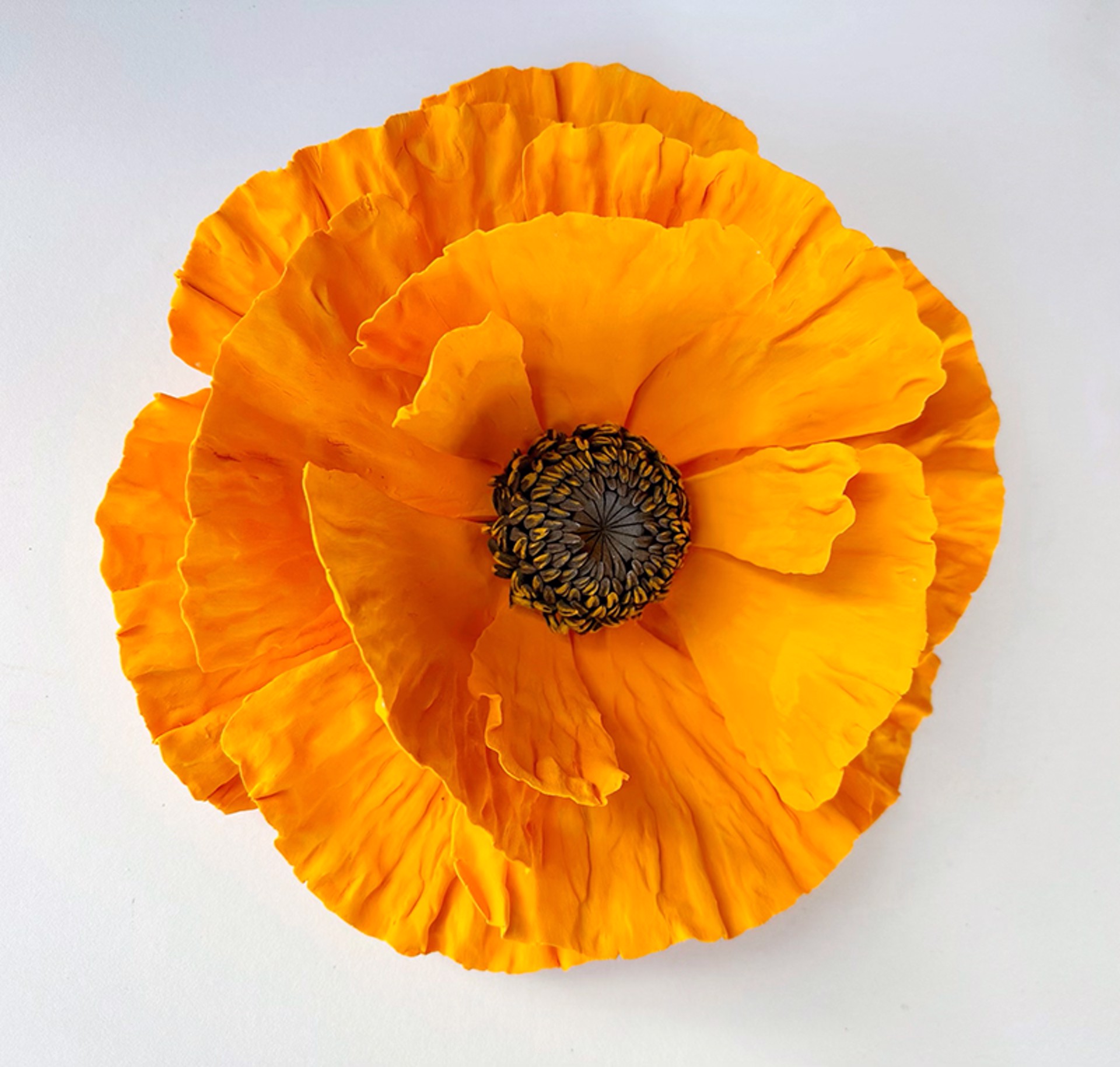 Orange Poppy by Owen Mann