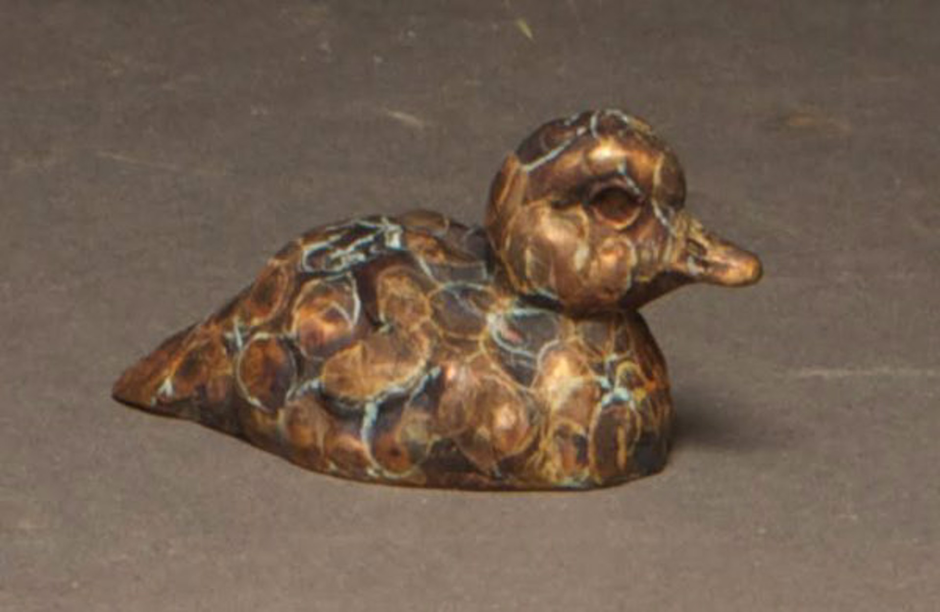 Orphan Mini (Wood Duck Duckling) by Stefan Savides