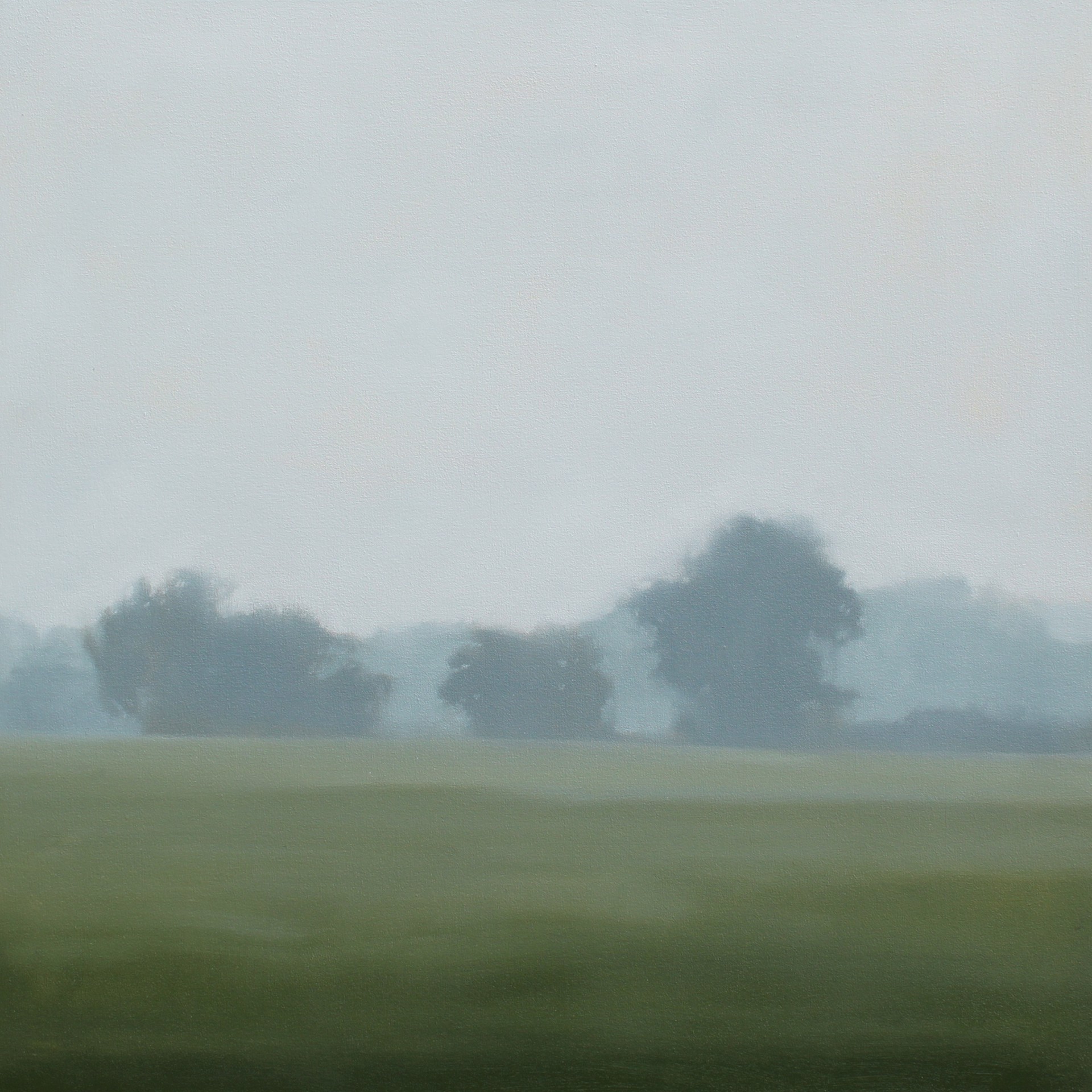 Mist Shadows -- ON HOLD by Megan Lightell