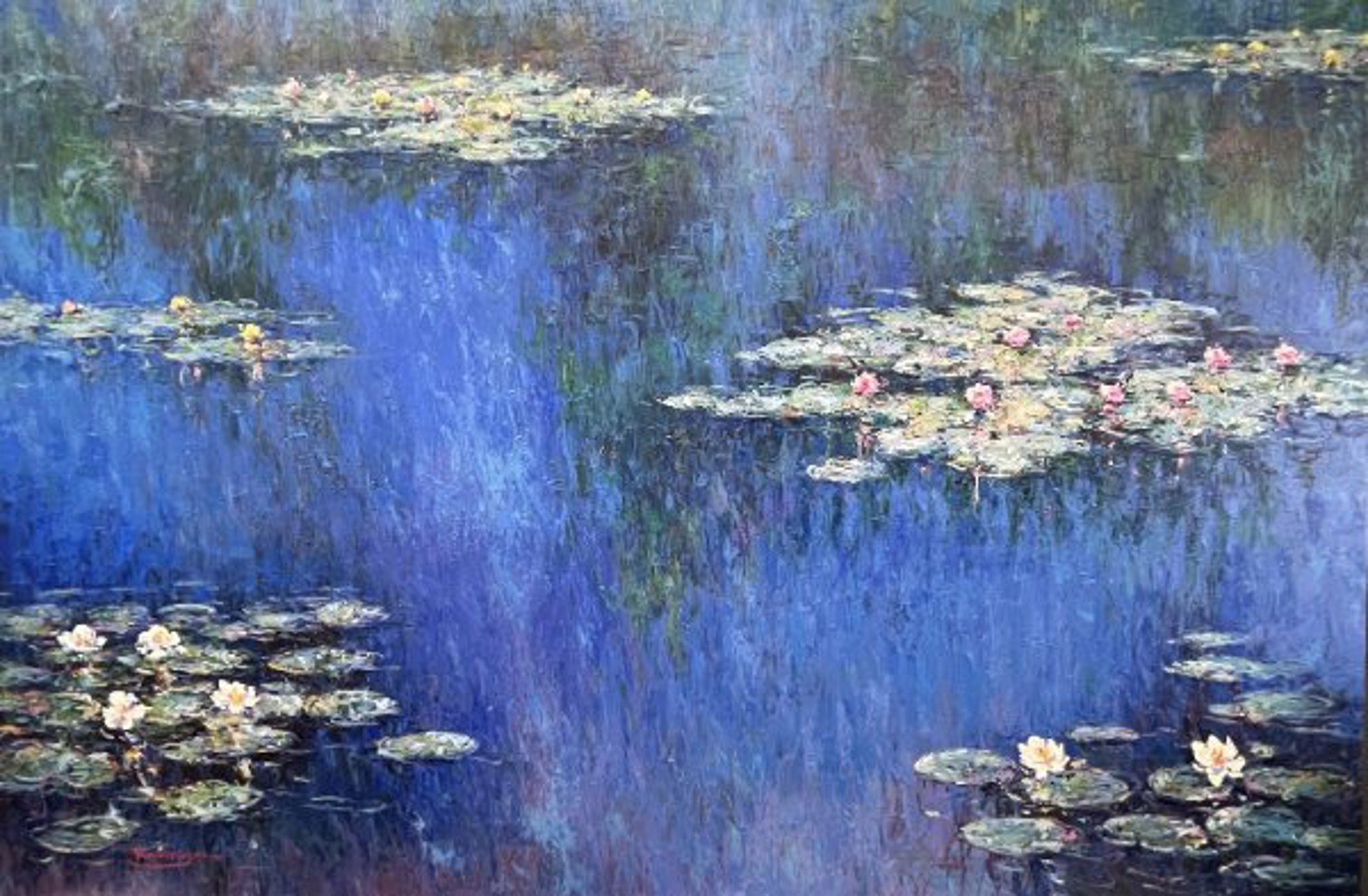 M's Garden Lillies by Rodrigo Rodrigo